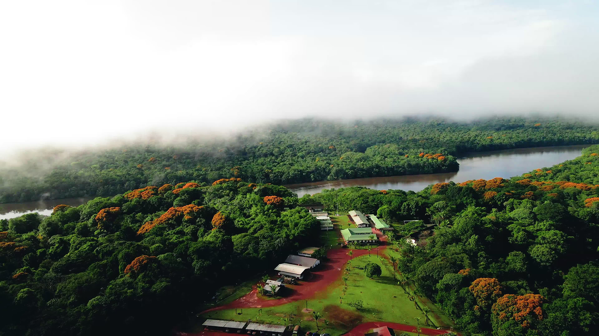 Capt Quentin also said that jungle vegetation can be used to survive, as they use it to sleep, hunt, and fish