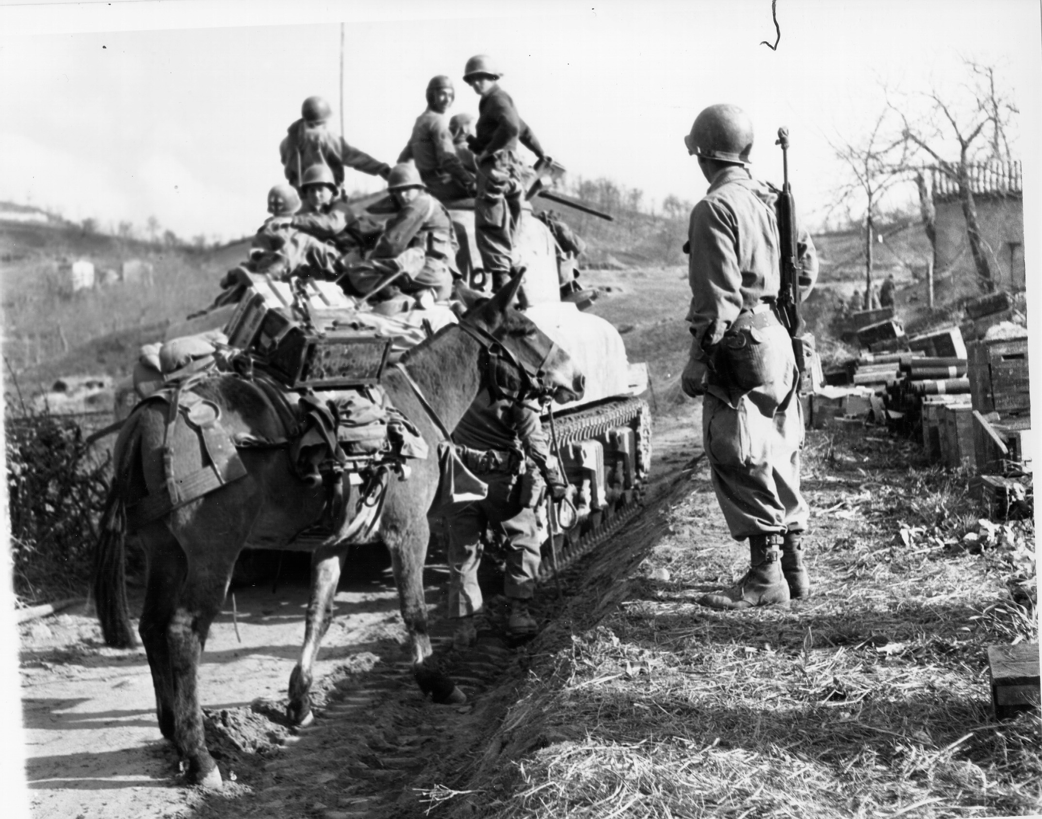 The men and mules of the 10th Mountain Division of the US Fifth Army, seen here in Bologna, Italy, in April 1945 (Picture: US Army Signals Corps)