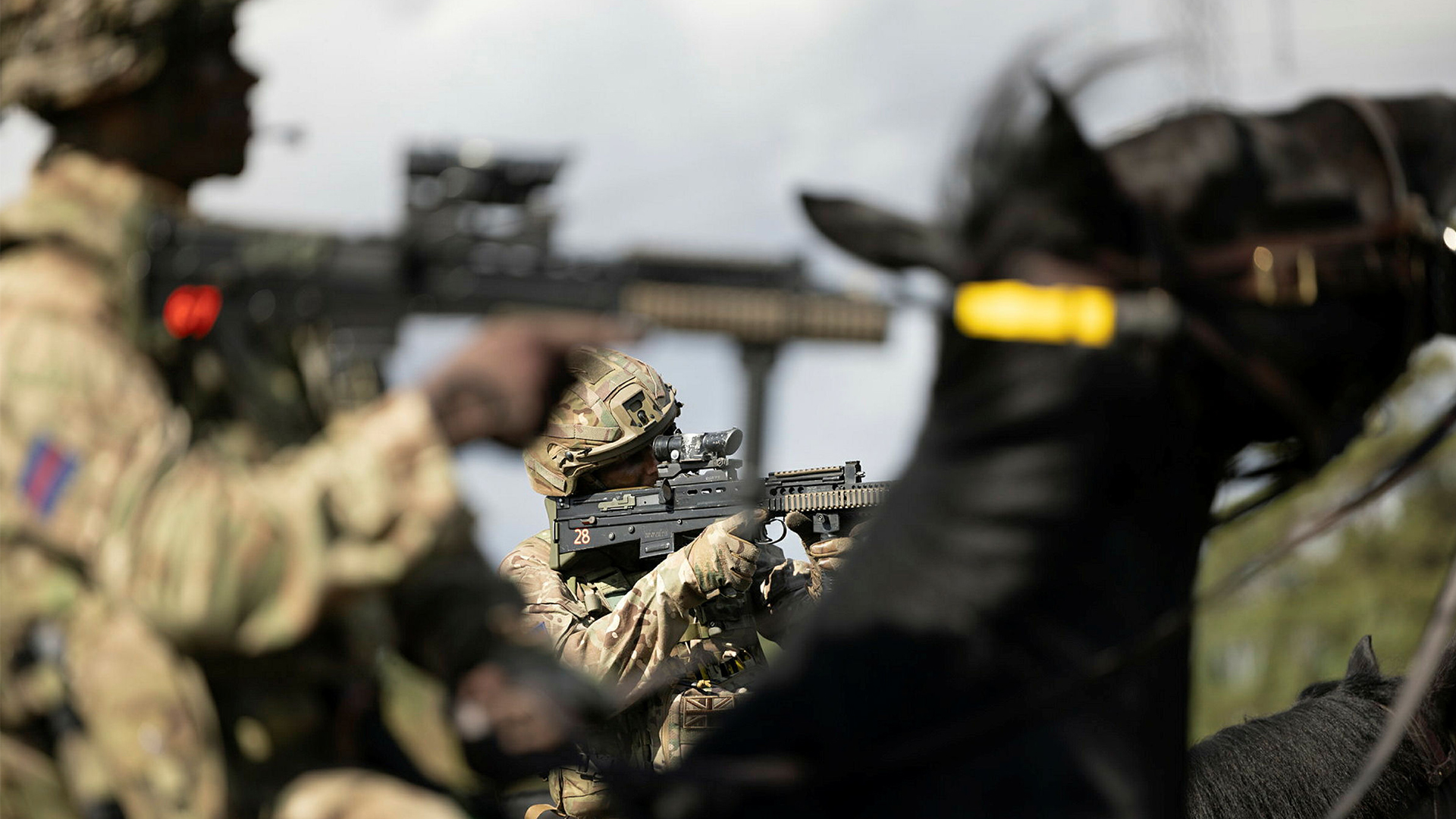 Should these horses ever be used in war, there could come a time when the troopers would need tro engage the enemy from the saddle (Picture: MOD)