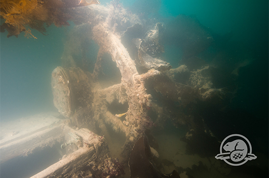 Erebus discovery 