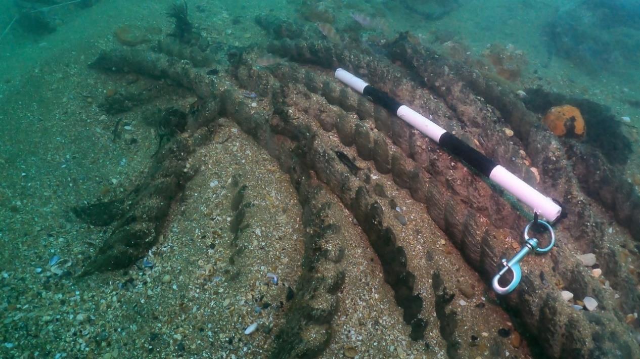 Ropes from the Northumberland lay intact on the seabed