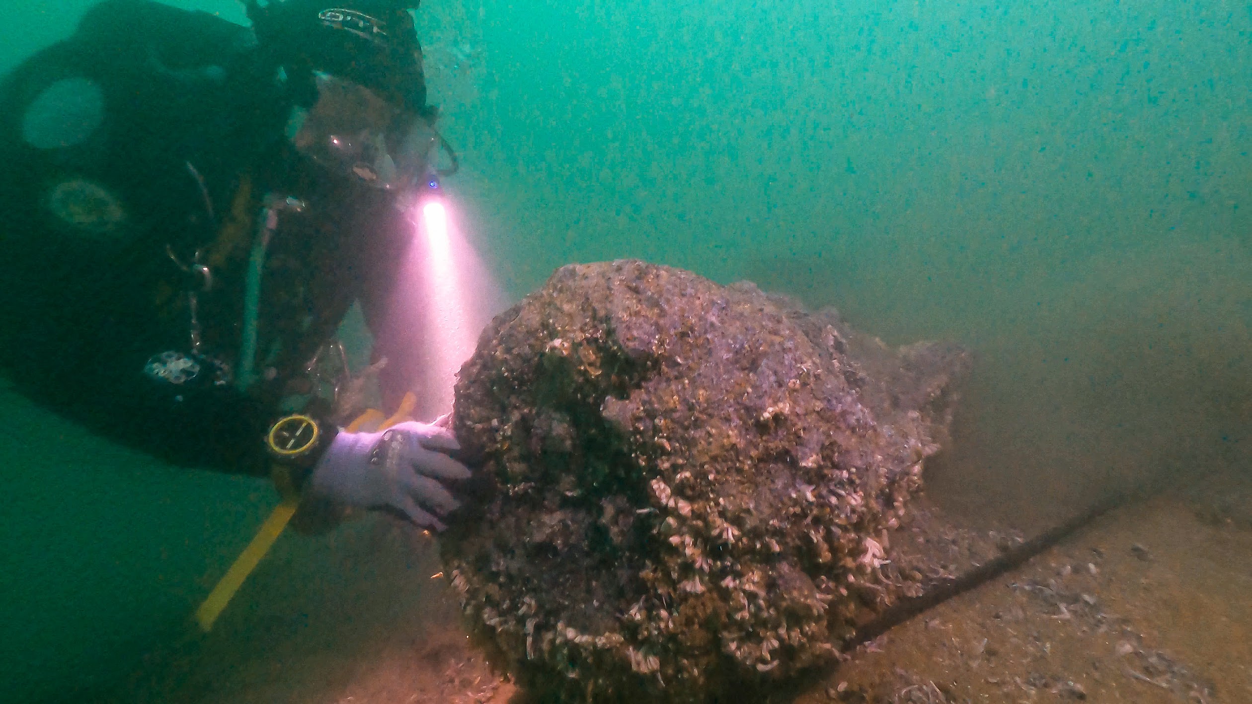 A diver discovers a gun muzzle in the wreck of the Northumberland
