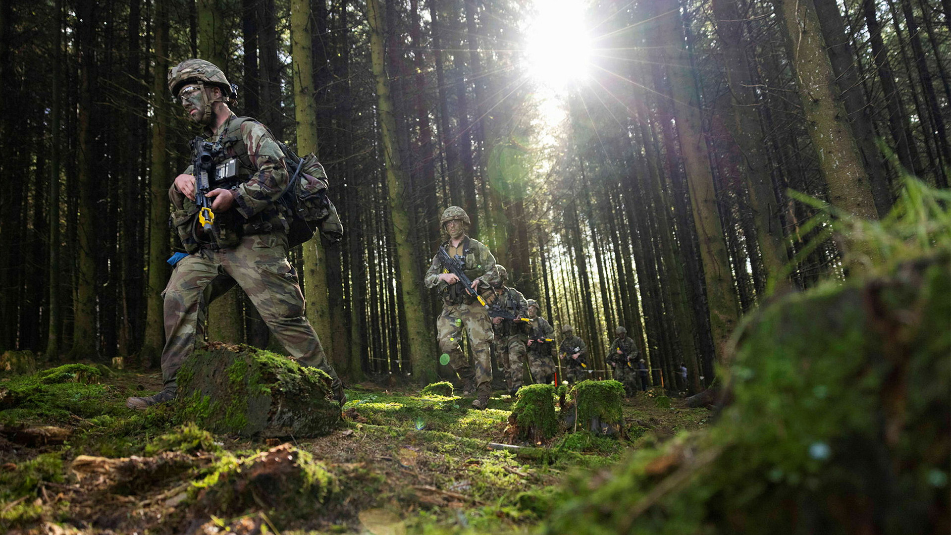 One of the largest forestry plantations on the DTE is at Sennybridge in Wales