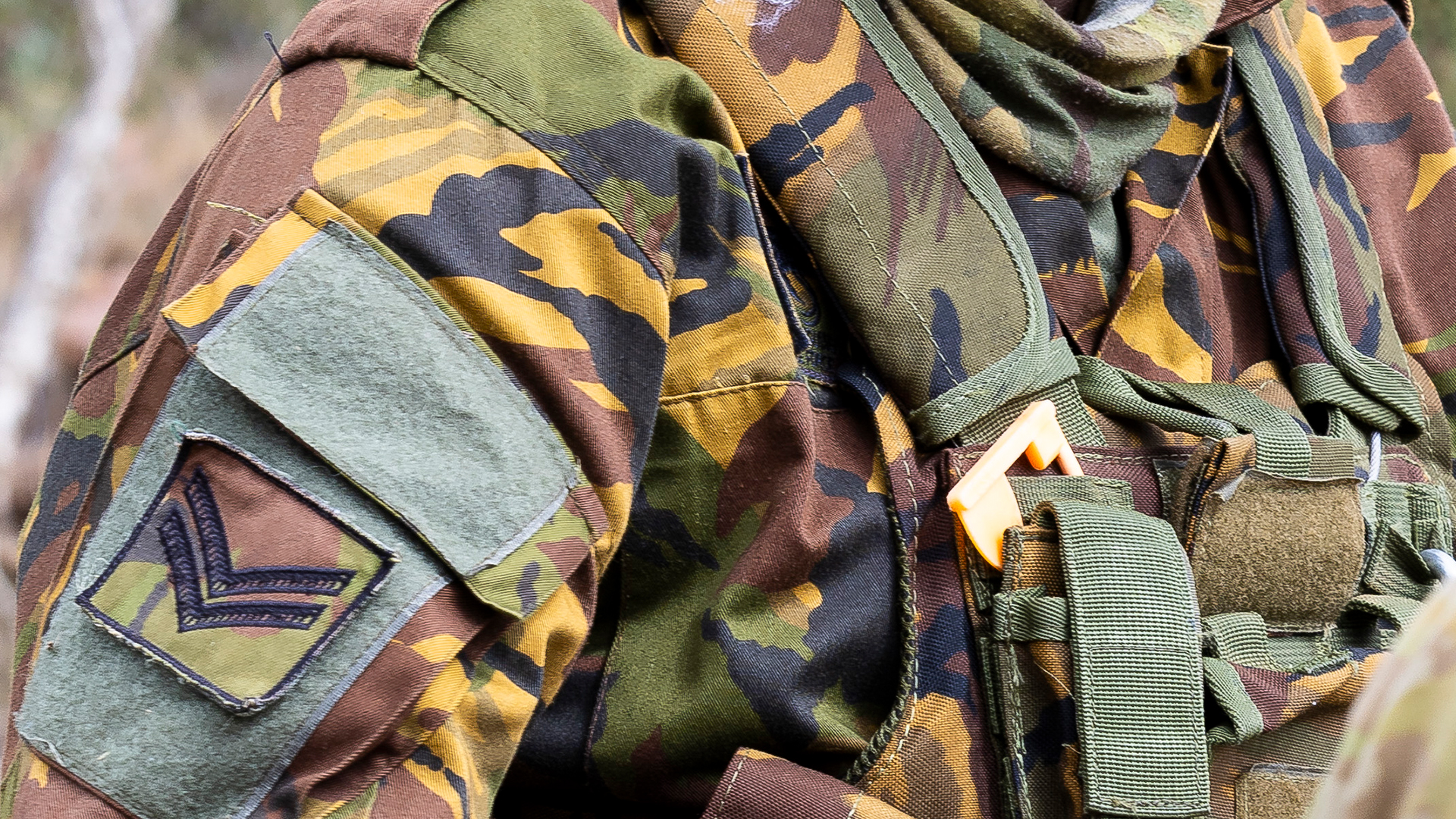 6: Your old papa would have paid far more than a guinea for this uniform