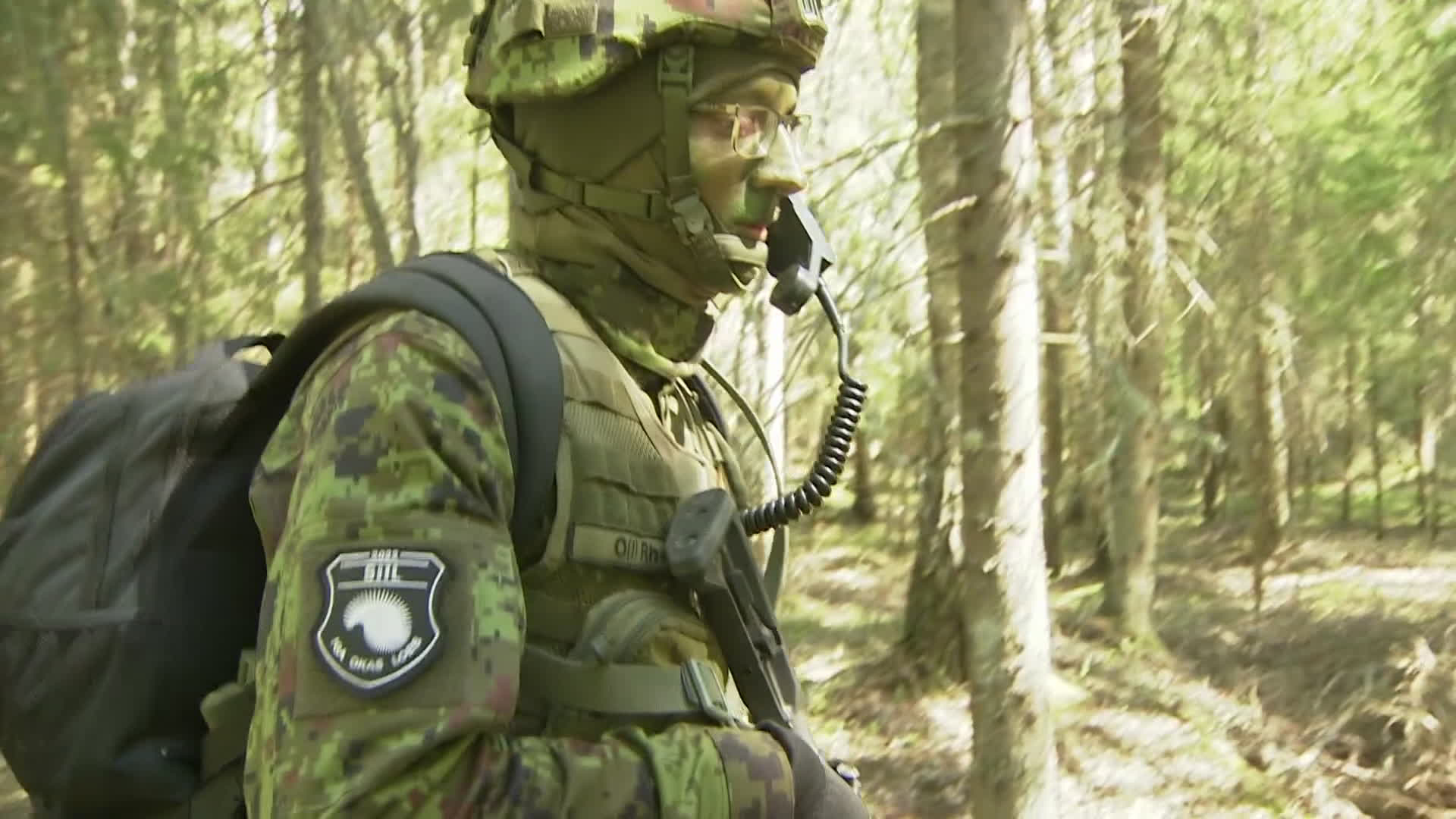Fellow Nato member Estonia puts great emphasis on conscription and its reserve forces as part of its defence strategy