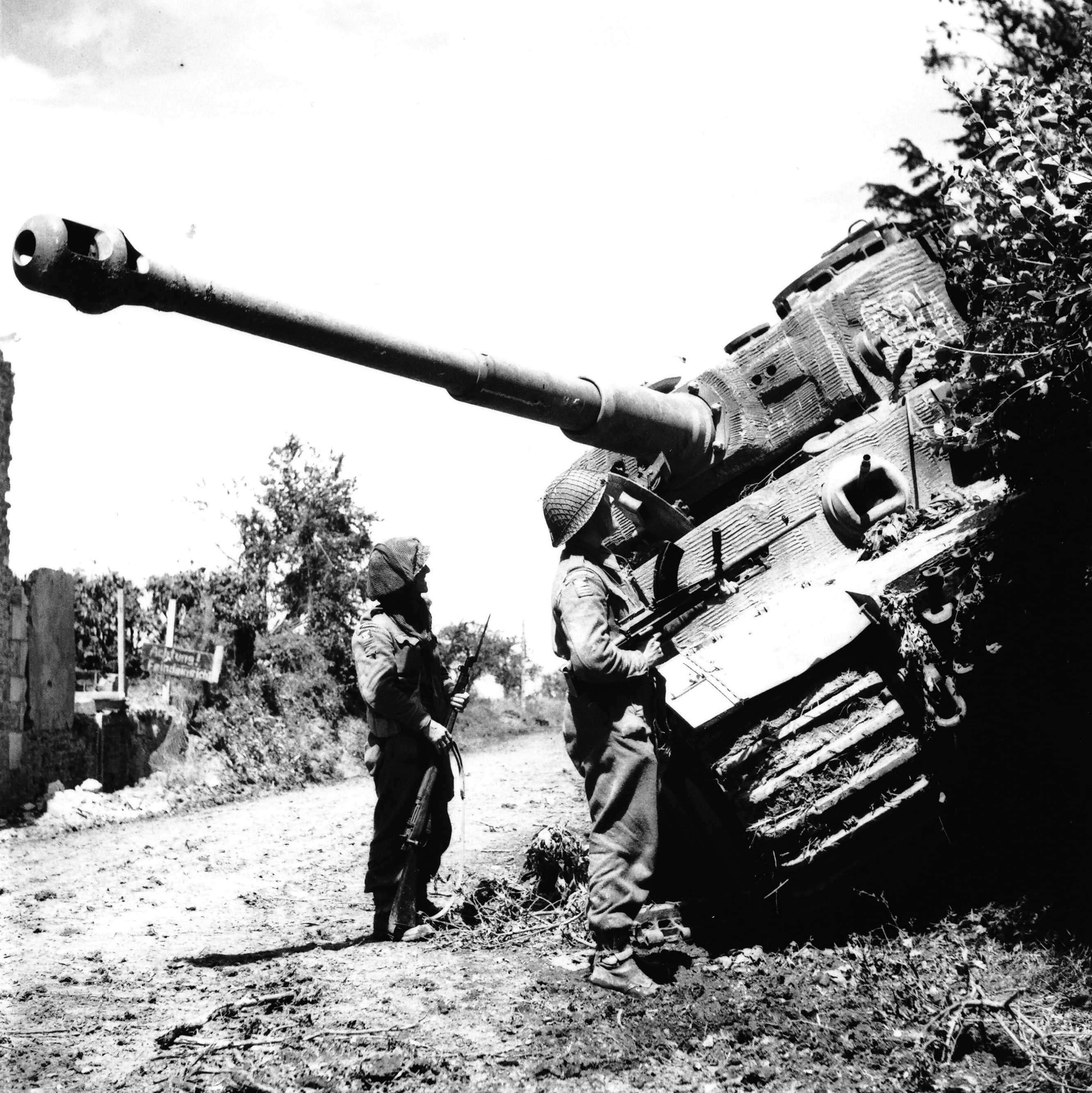 1 Tiger