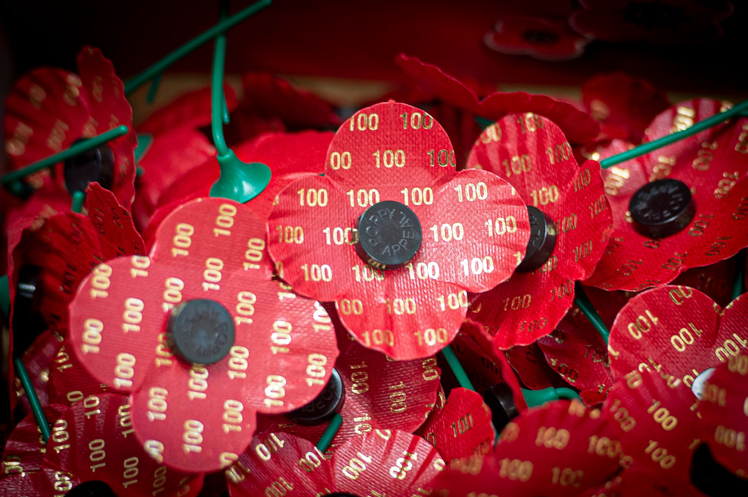 Poppyscotland 100 years of the poppy appeal commemorative poppy Picture Poppyscotland