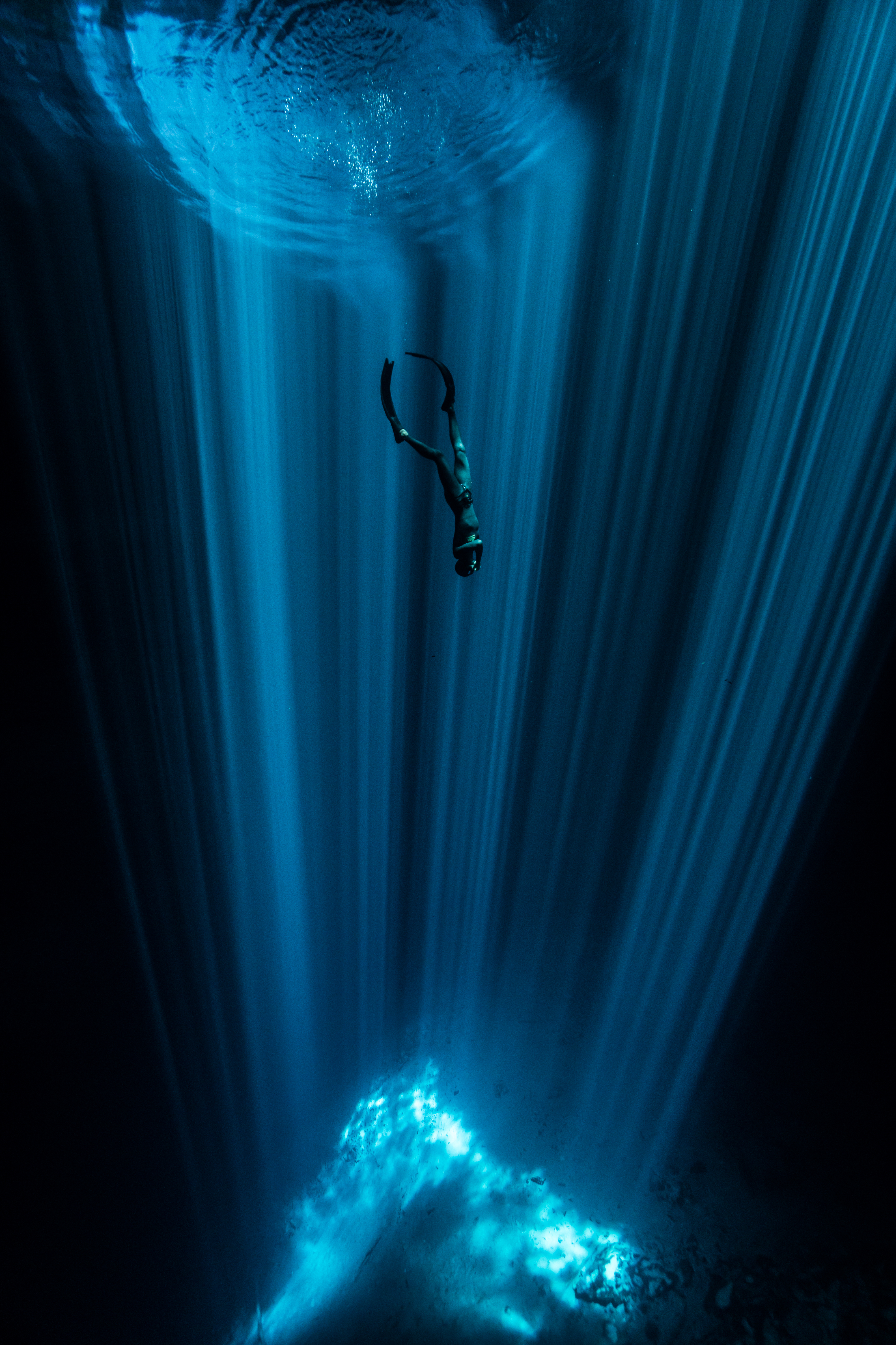 Underwater photographer of the year