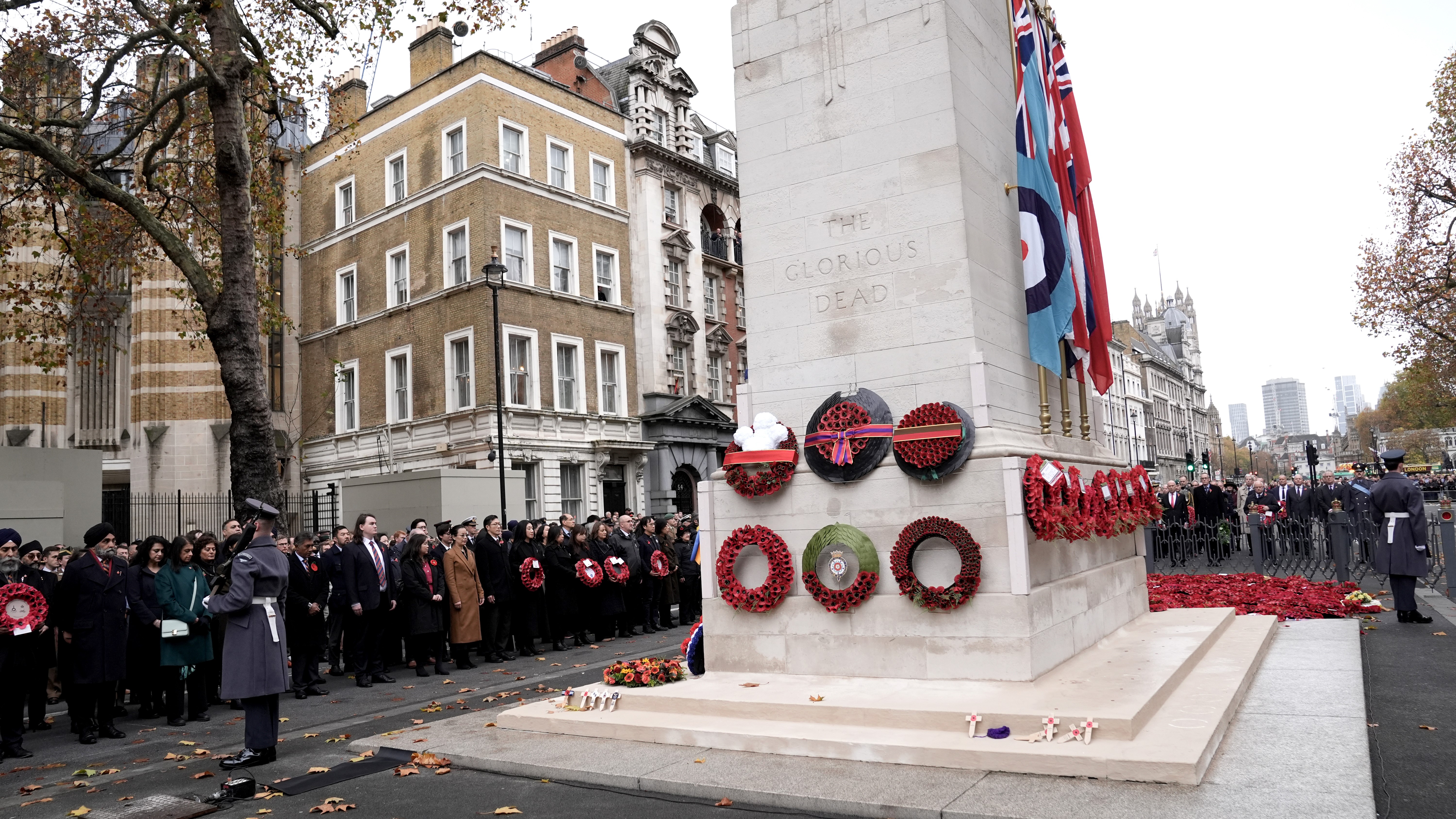 A view of poppies during during the Western Front Association's Armistice Day ceremony at the Cenotaph (Picture: PA)