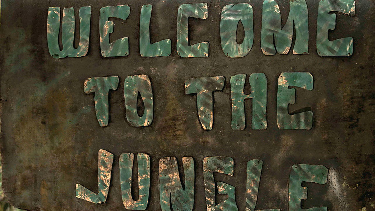13112024 a Welcome To The Jungle sign at the Brunei Jungle Warfare School CREDIT Crown Copyright