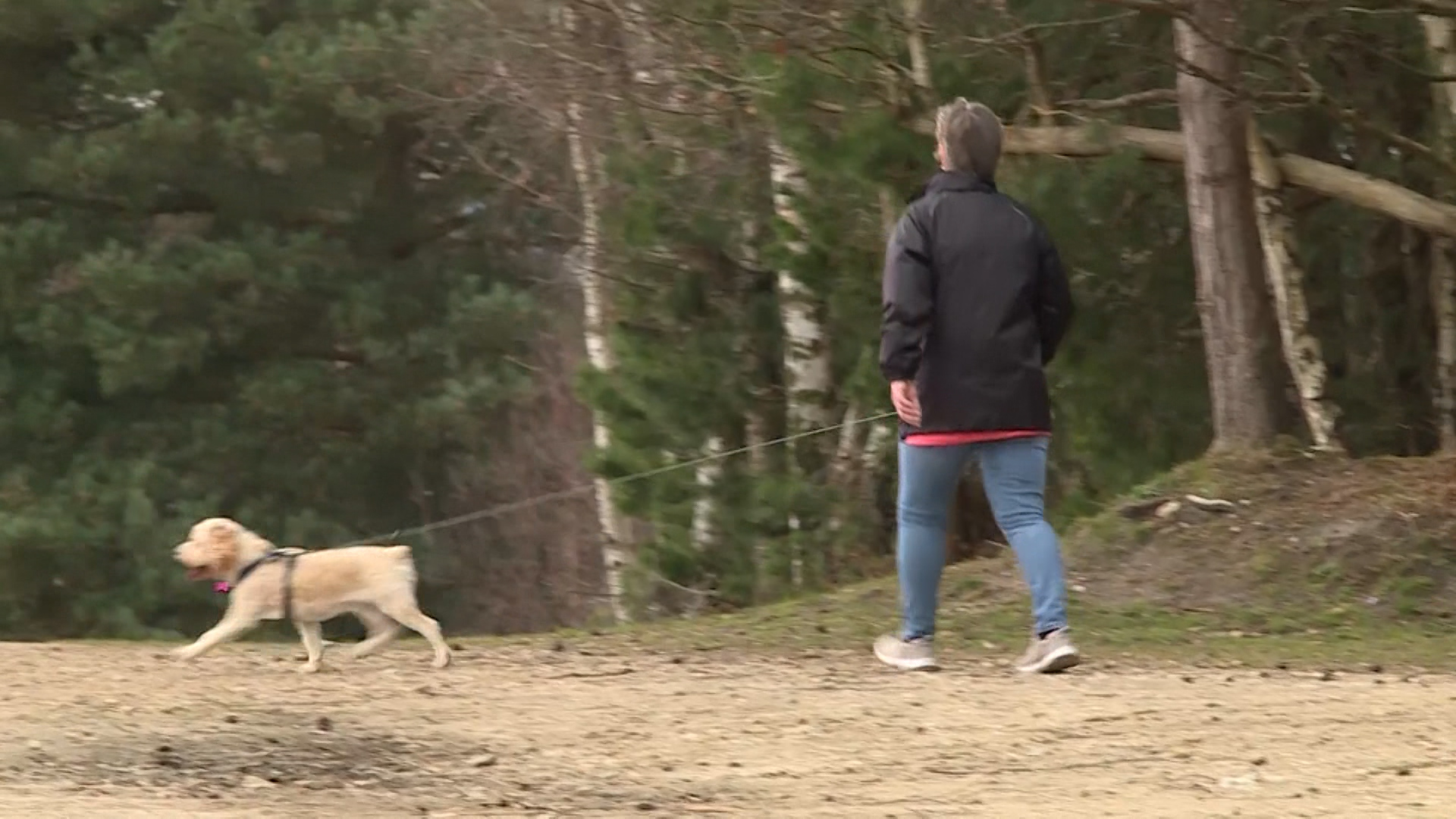 A member of the public walks their dog on a military site