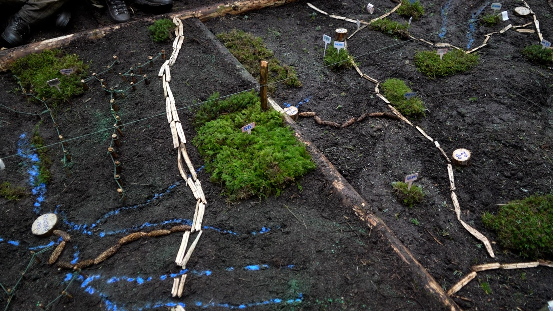 model at Sennybridge