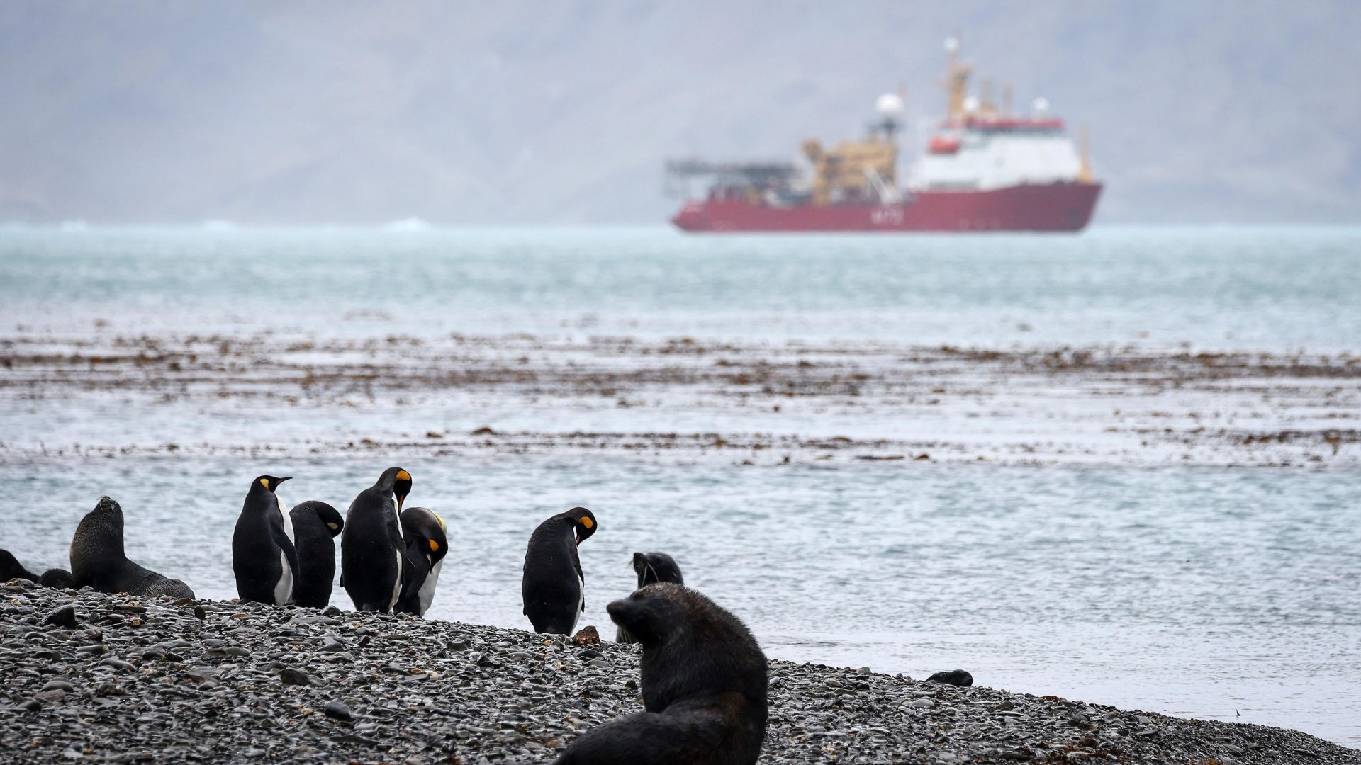 HMS Protector role helped to maintain a sovereign, reassuring, and versatile presence in the South Atlantic and the British Antarctic Territory (Picture: MOD)