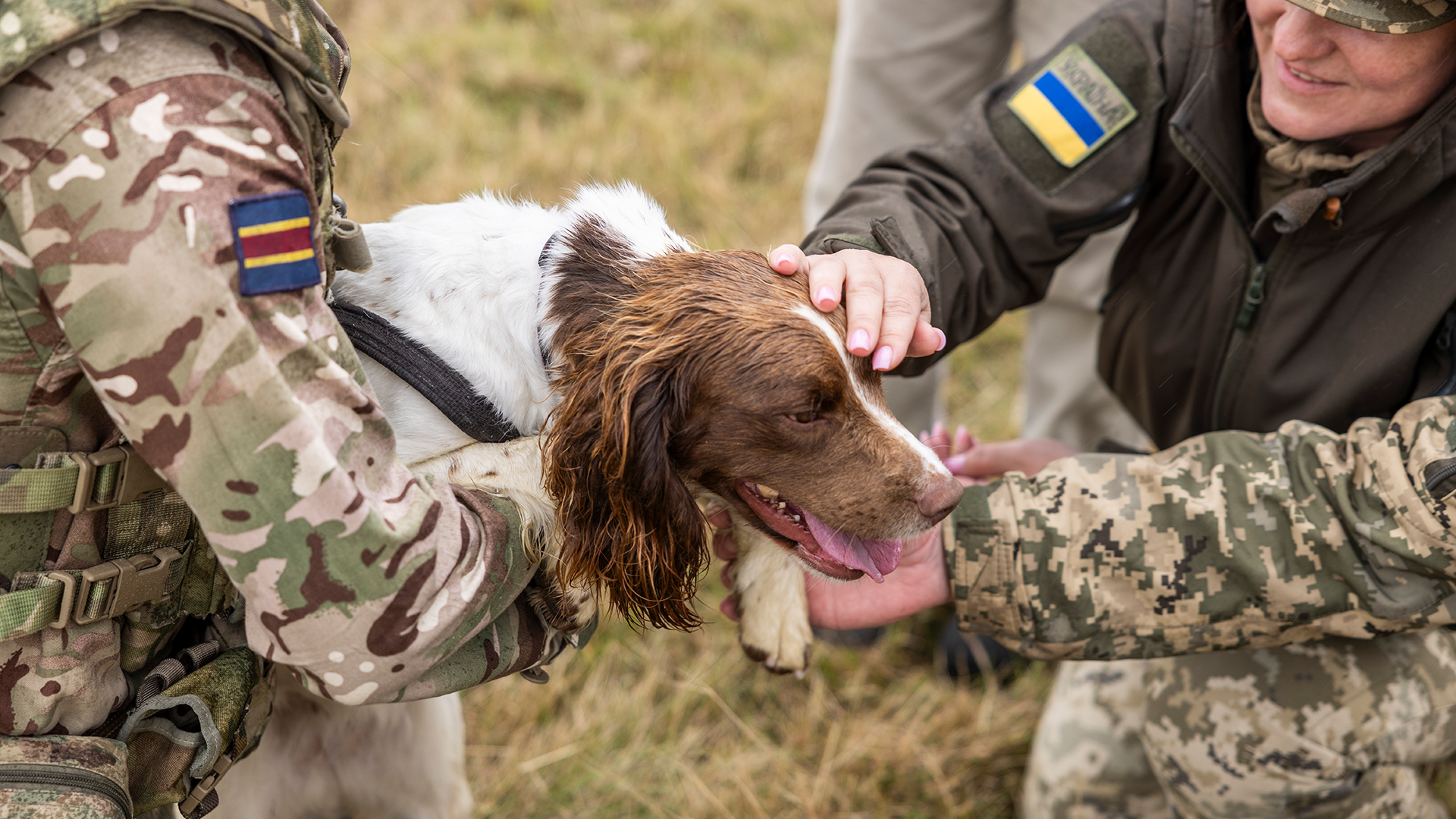 16 Ukrainian god handlers have been trained by the British Army on two courses CREDIT MOD