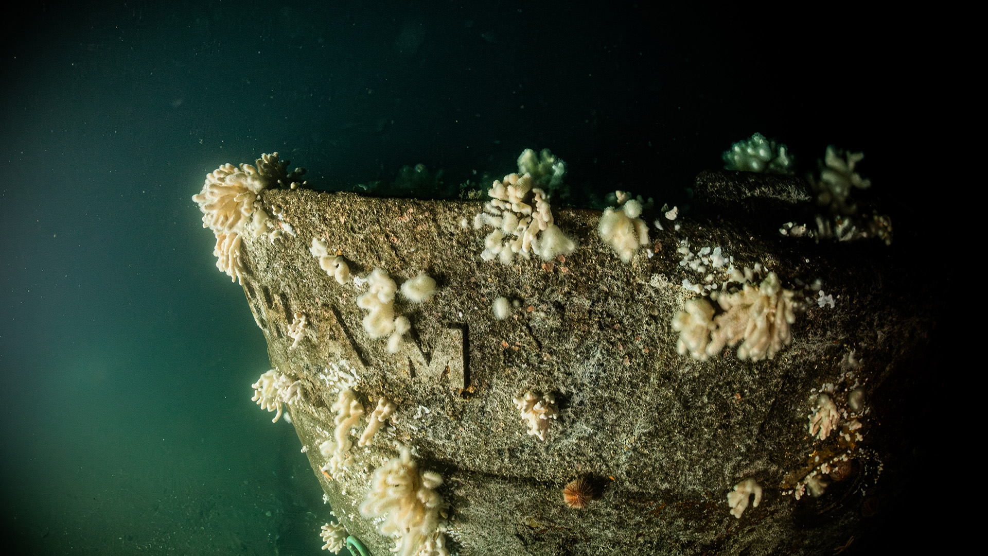 The lettering 'Nottingham' is still clearly visible on the ship's stern