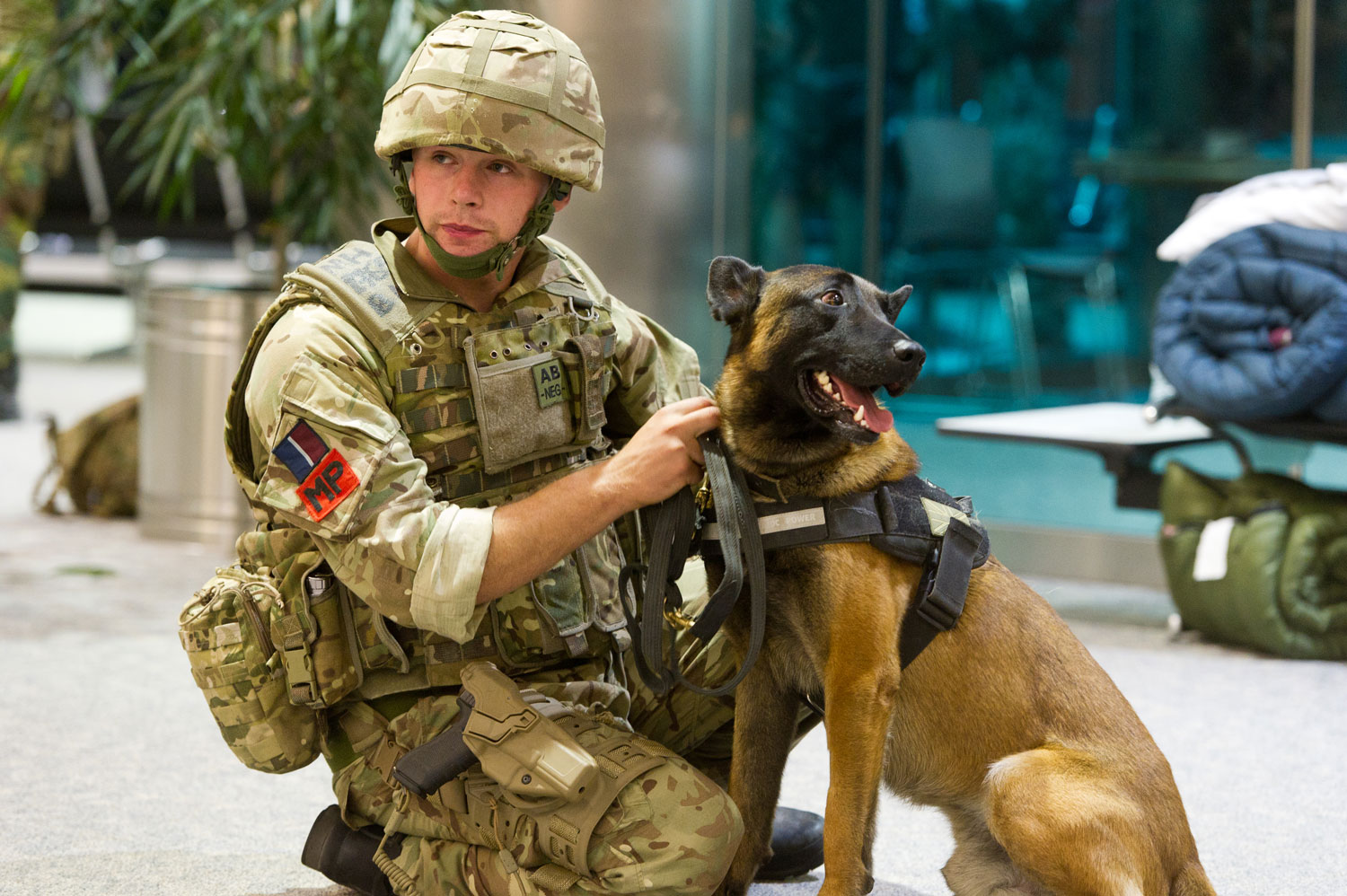 Exercise Mobility Guardian