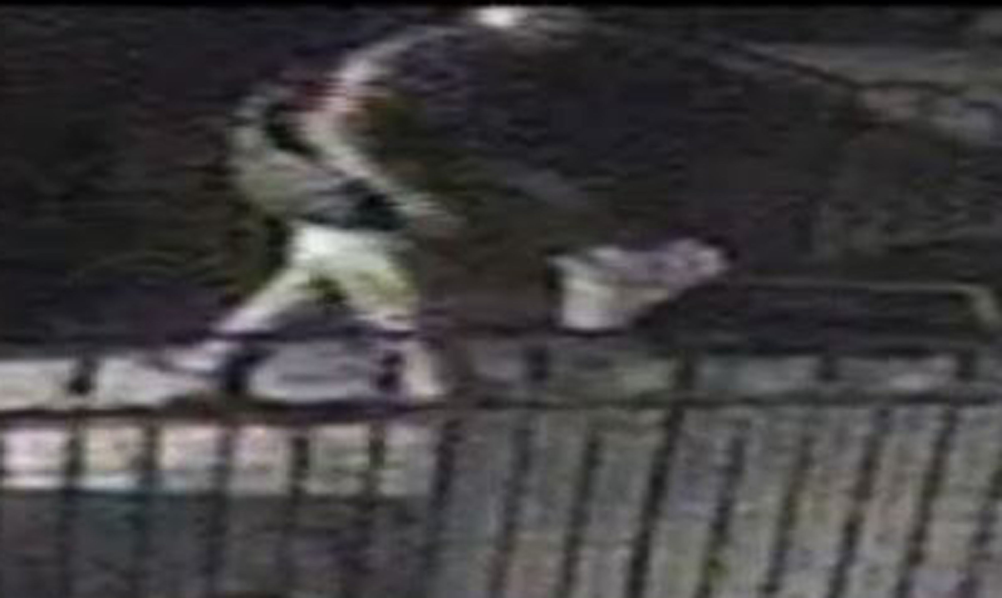 'Soldier' burglar police handout photo