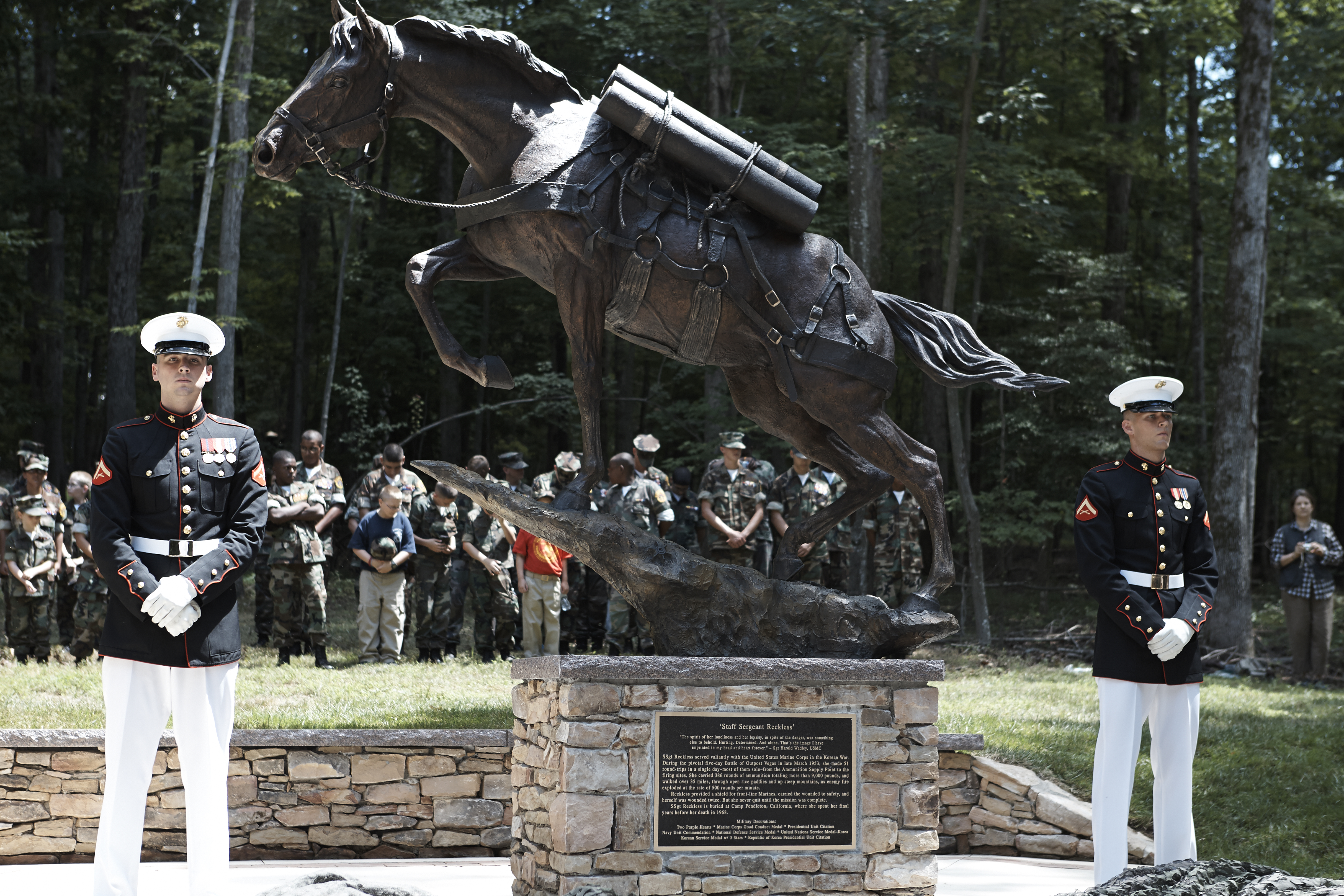 A monument to sergeant reckless