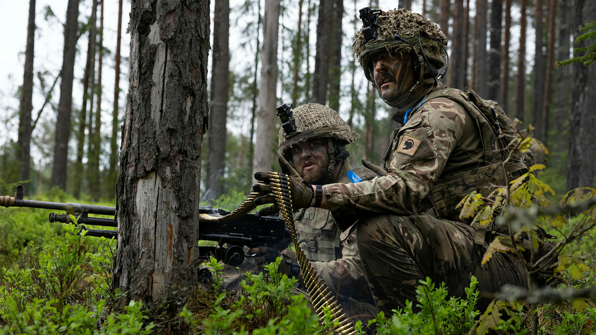 Britain is the main contributor to Nato's enhanced Forward Presence in Estonia, and Ms Braw believes Moscow could try to undermine its activities in the Baltic nation (Picture: MOD)