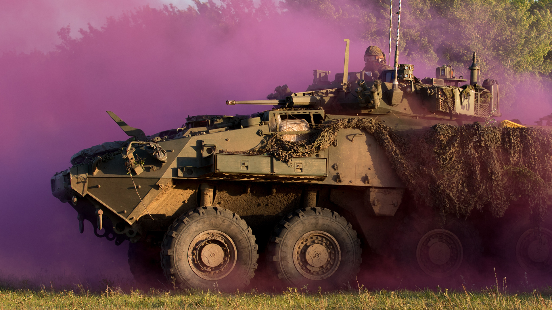 A Canadian LAV III advances on an enemy-held town during the exercise in 2017 (Picture: US Department of War)