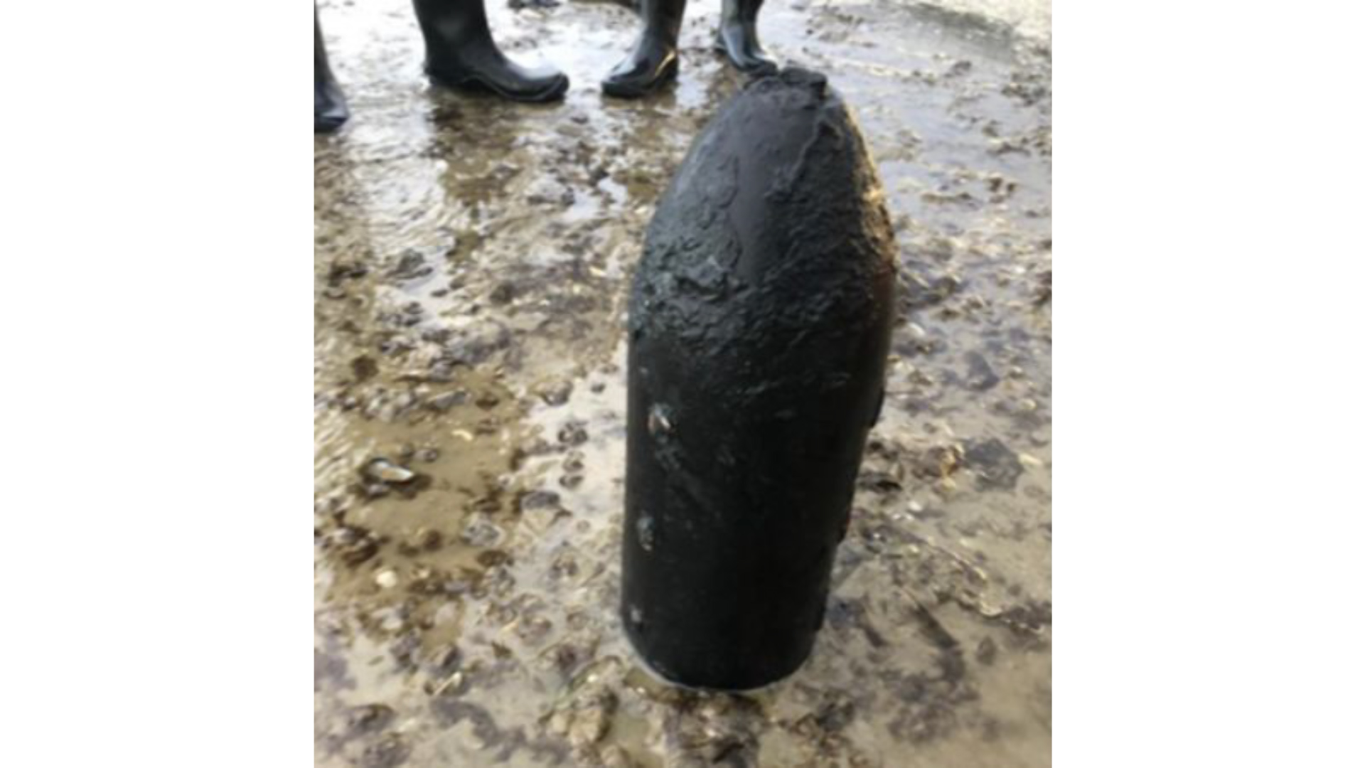 19th century shell discovered in Portsmouth