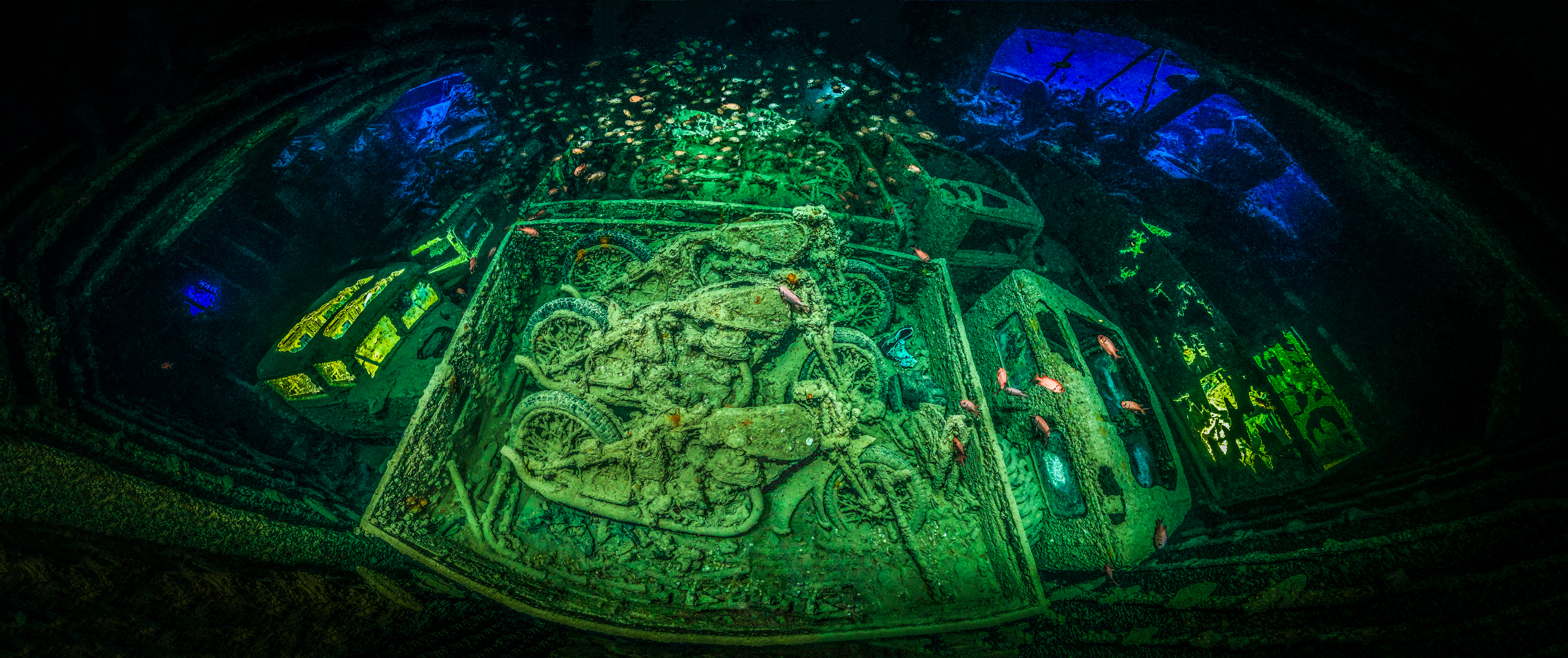 Underwater Photograph of the Year