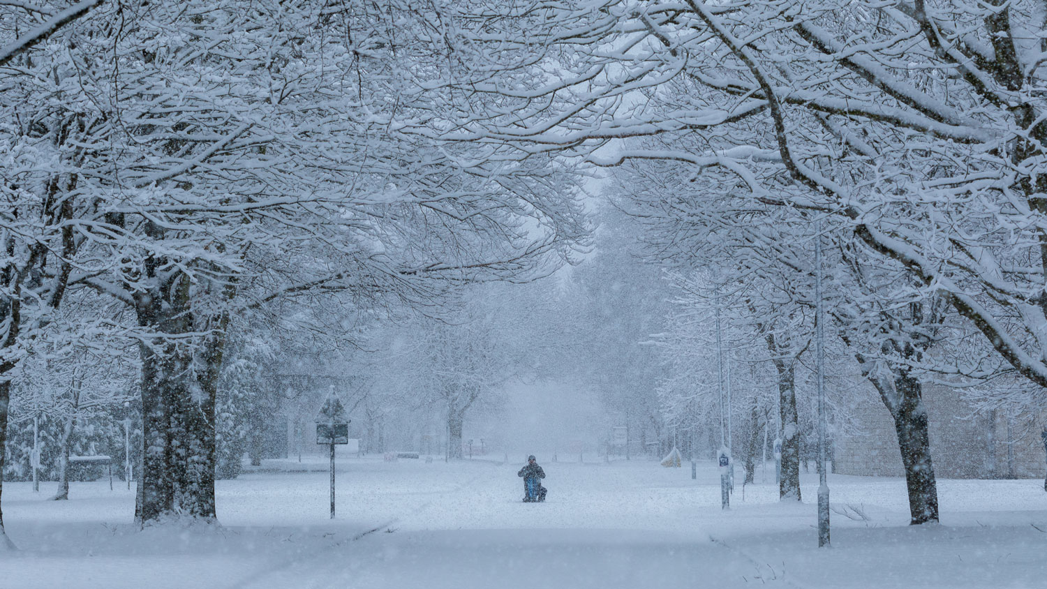 Snowy Leeming Road, Royal Air Force (RAF) Cosford 1st WINTER WONDERLAND Cat B SAC Amelia Turnbull (Picture: Crown Copyright).