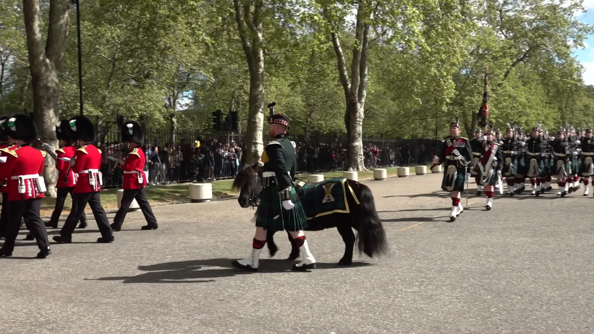 5 SCOTS begin their march to Buckingham Palace, accompanied by Cpl Cruachan IV who took up his role in October 2012