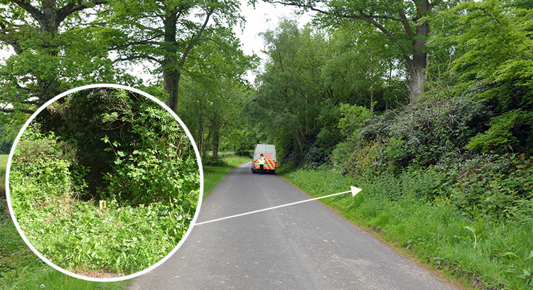 Location where Mark Manning's remains were found