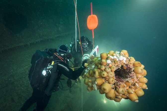 Royal Navy divers at site of HMS Royal Oak