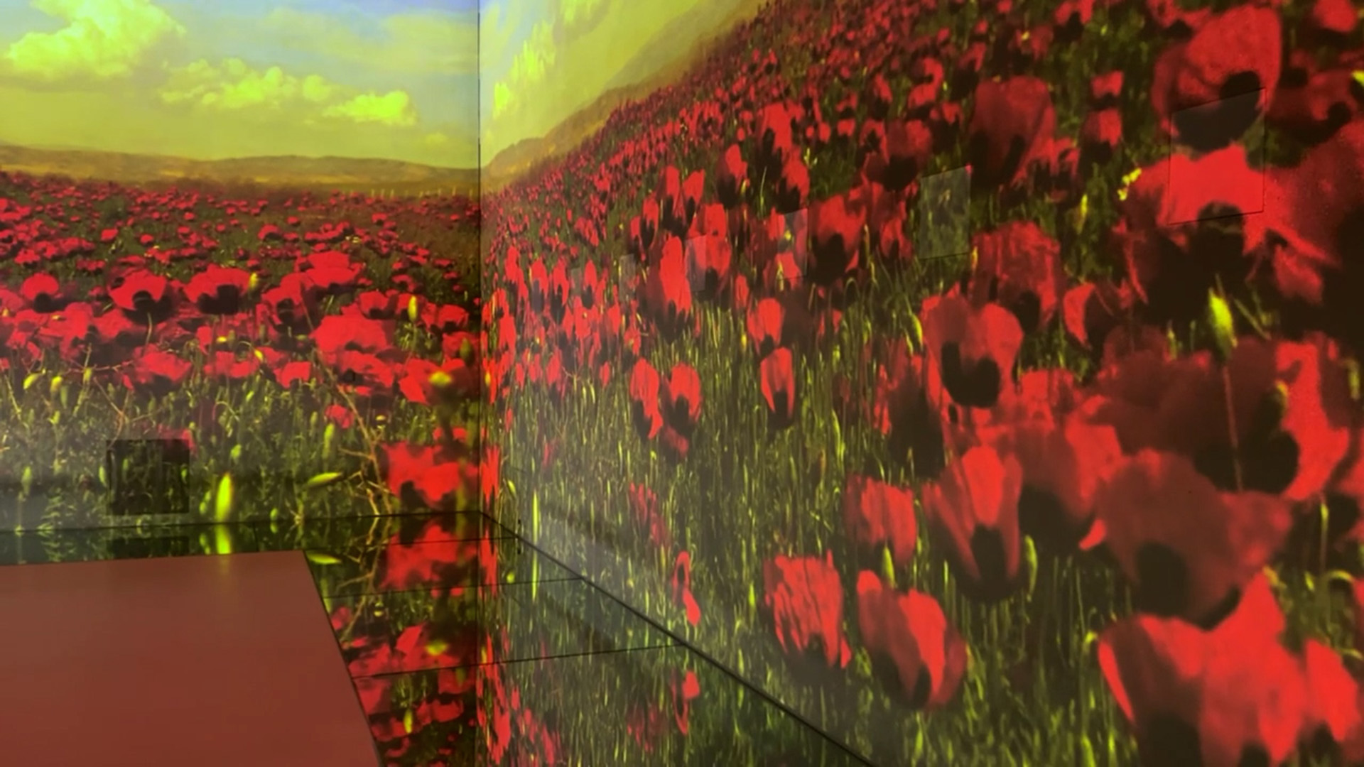 An installation of images of poppy fields and a mosaic of veterans was broadcast live in the multi-sensory art gallery