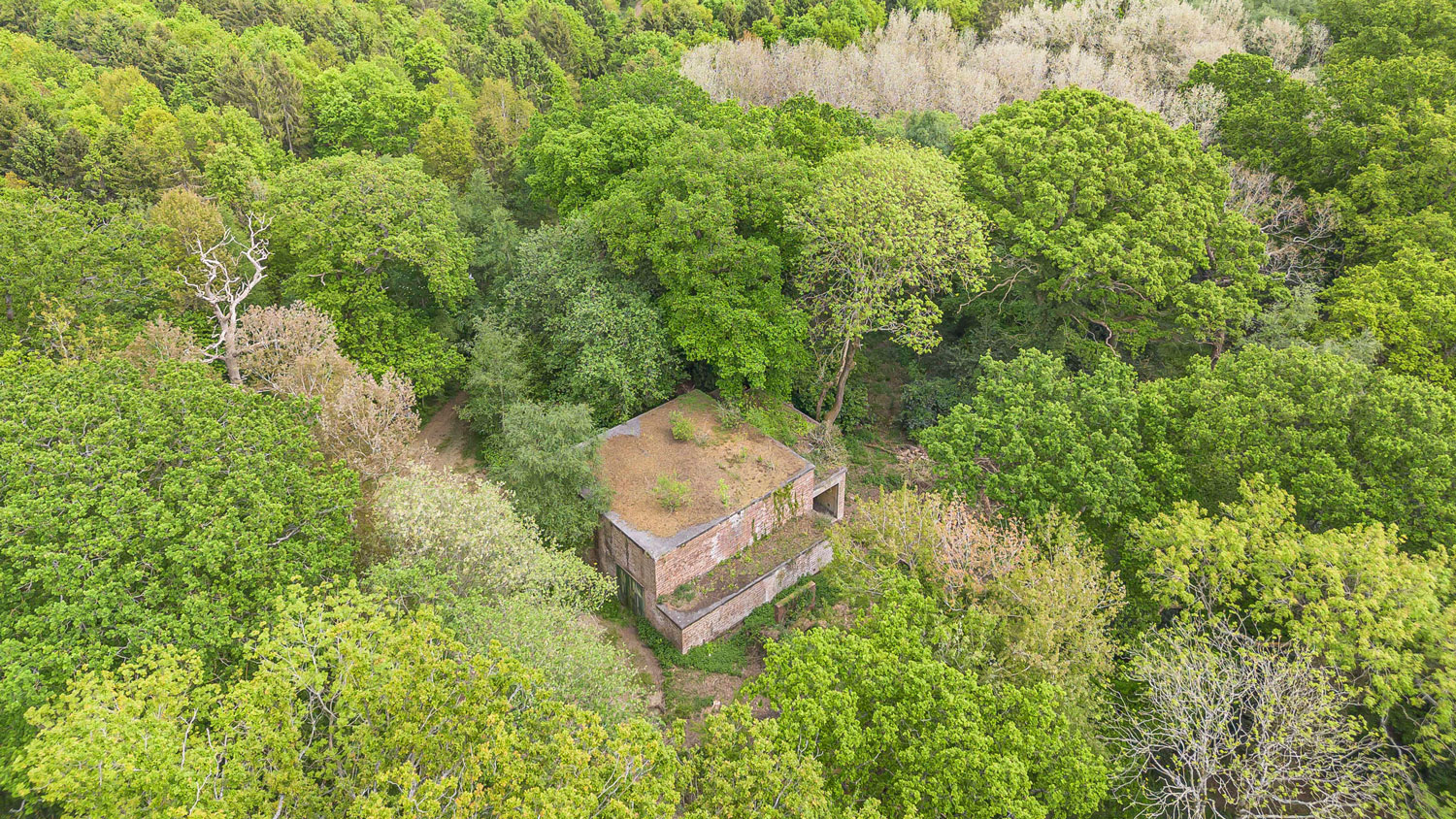 A birds eye view of the James Bond-style hide away in Frogmore Woods