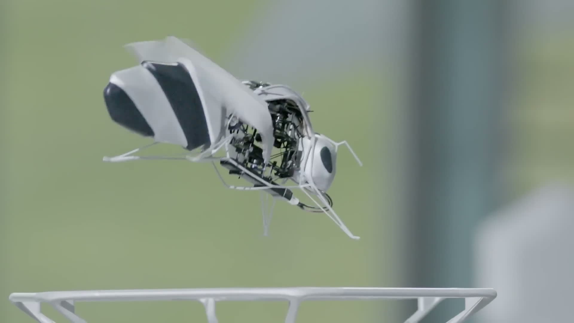 Military Biomimicry robot wasp
