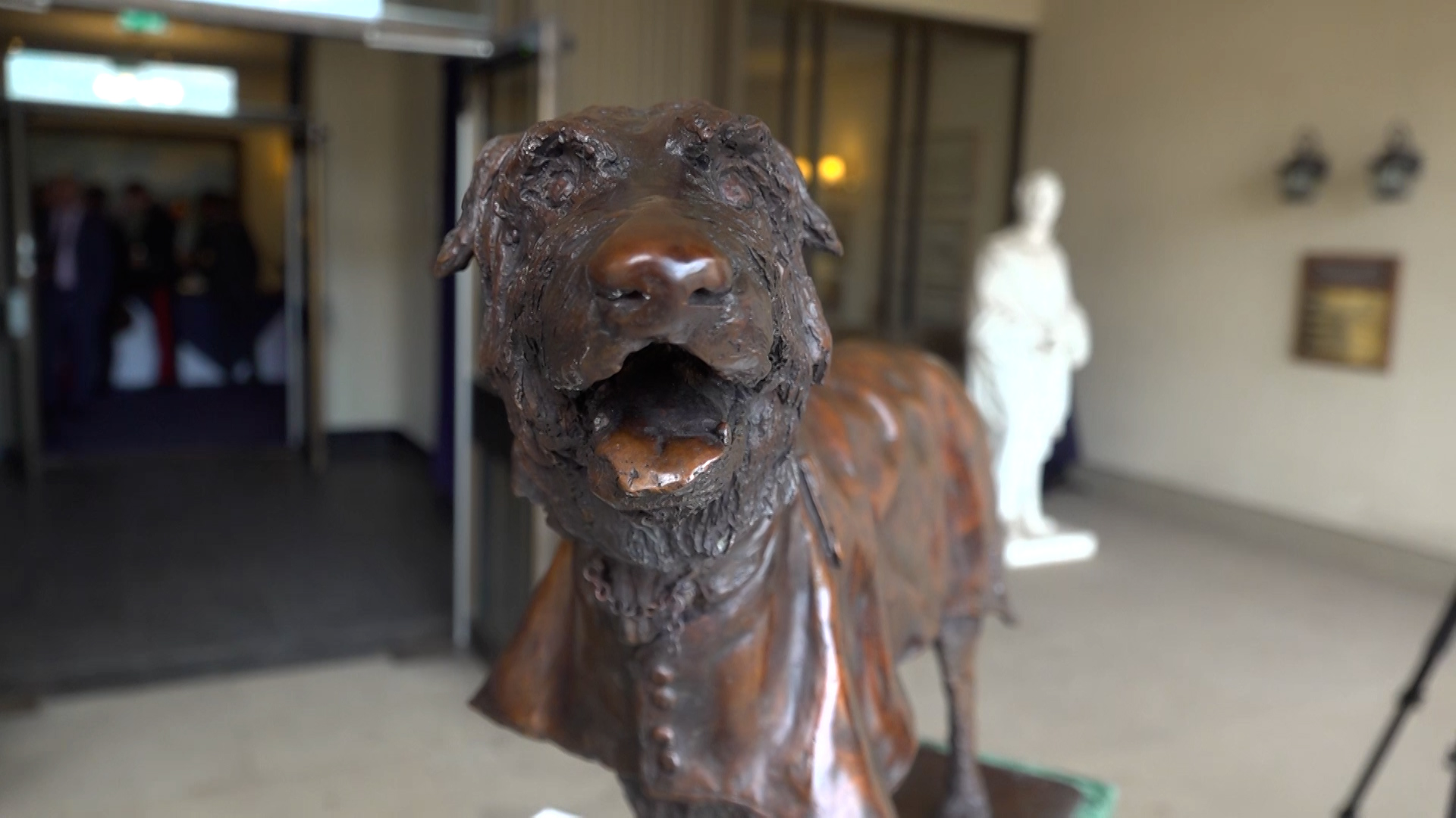 The sculpture aimed to capture every detail of the wolfhound - including his ceremonial regalia