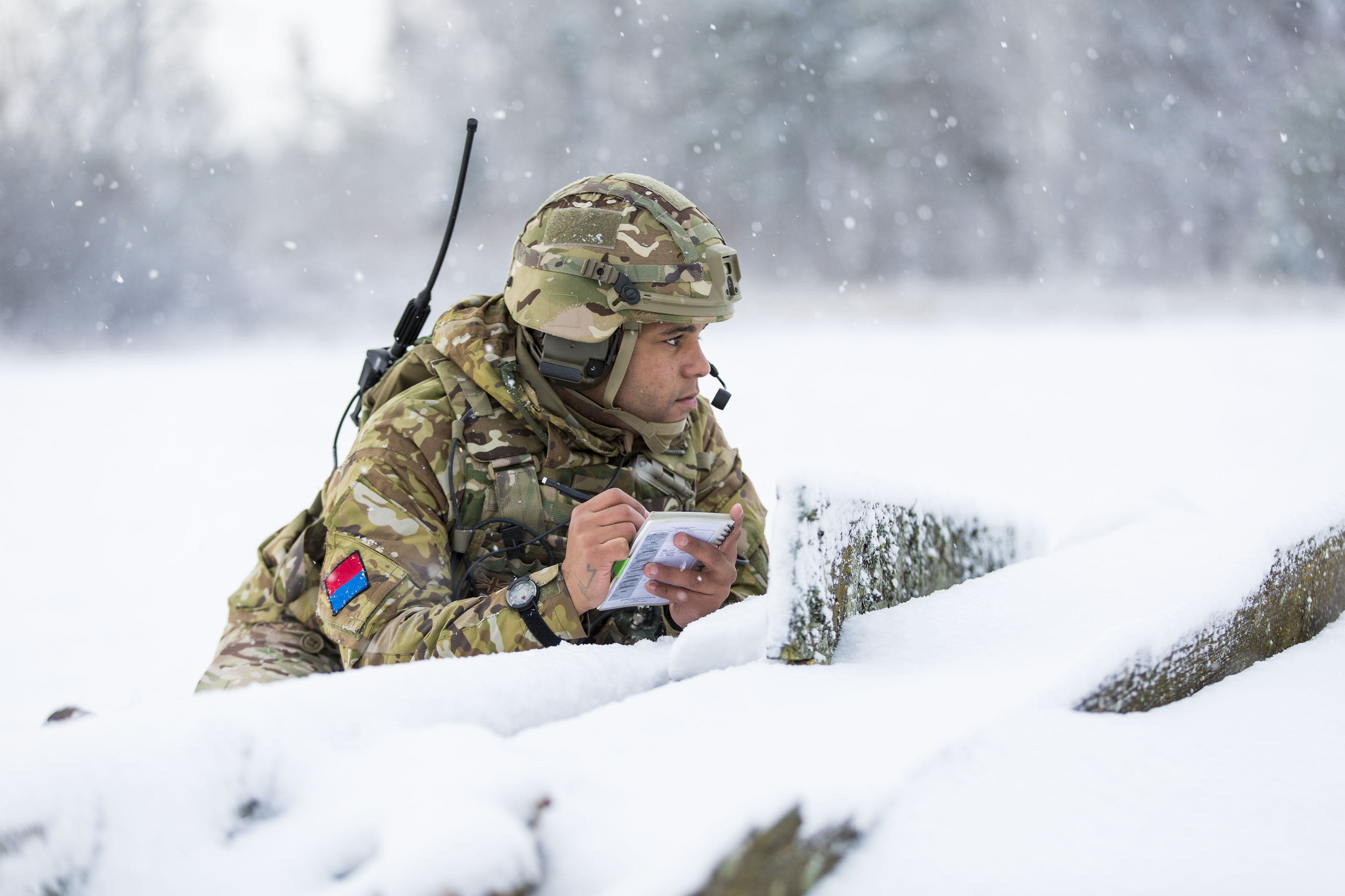 Estonia exercise CROWN COPYRIGHT