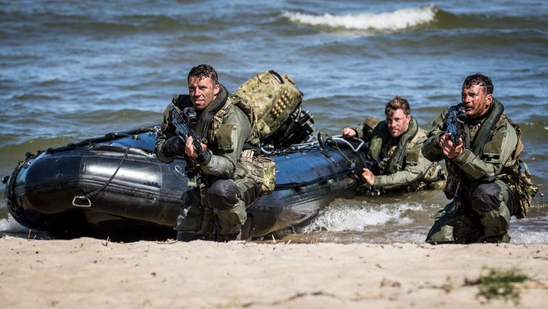 Royal Marines attached to HMS Albion & HMS Kent take part in a simulated beach landing at Salmistu, Estonia during a Distinguished Visitors (DV) Day demonstration as part of Baltic Protector.
