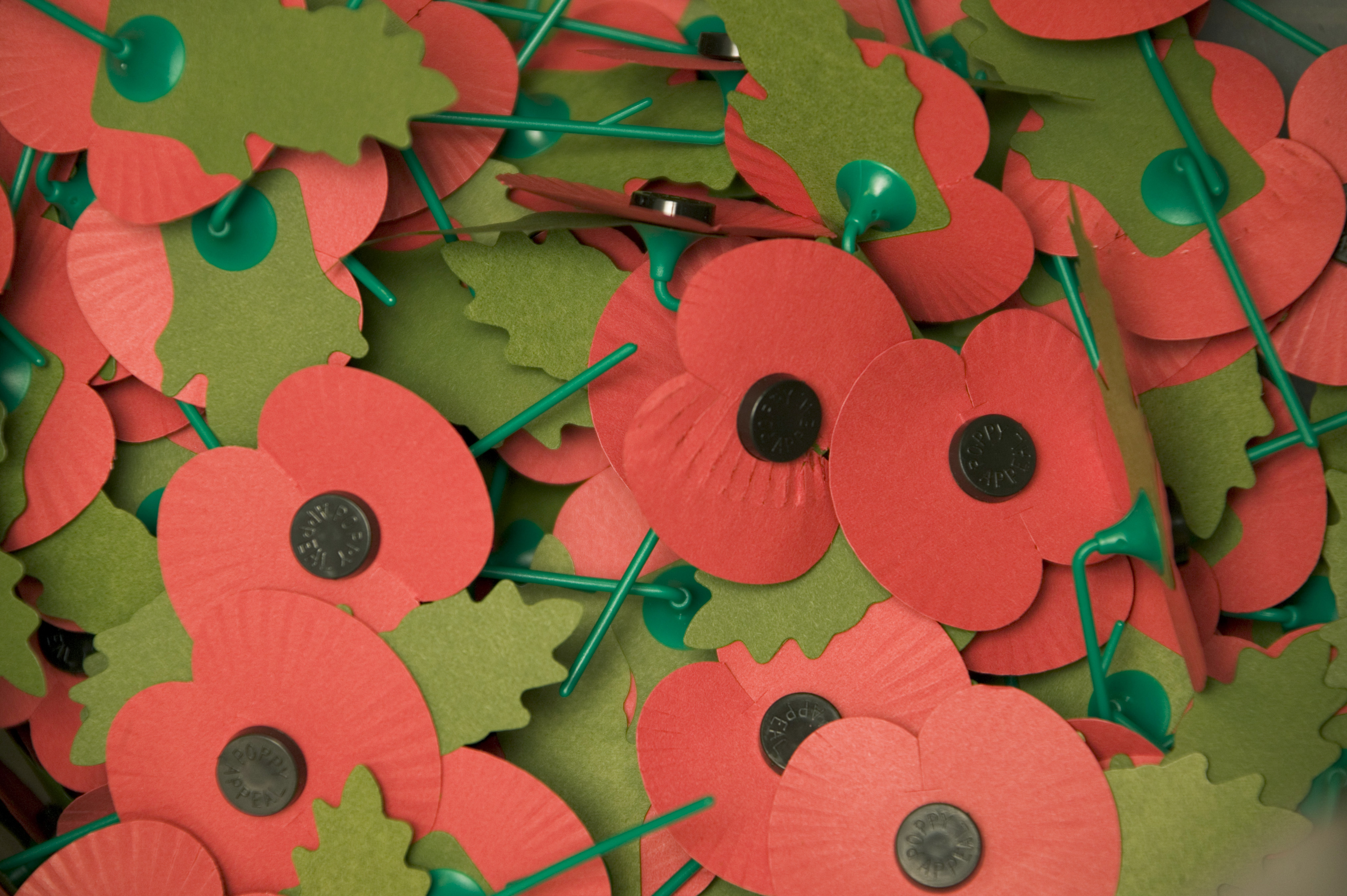 Paper Poppies. Crown Copyright Mike Weston ABIPP