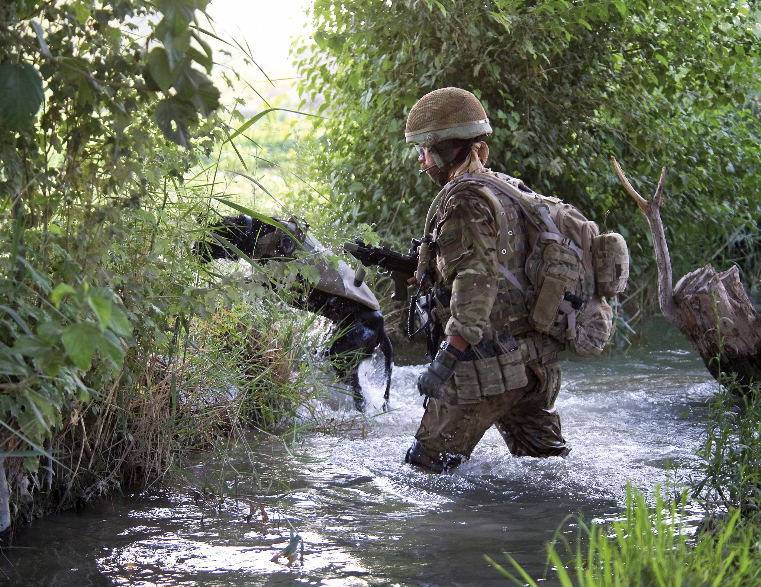 Royal Air Force Police Dog Handler attached to 42 Commando Lima Company, based at Checkpoint Zarawar in Helmand, Afghanistan