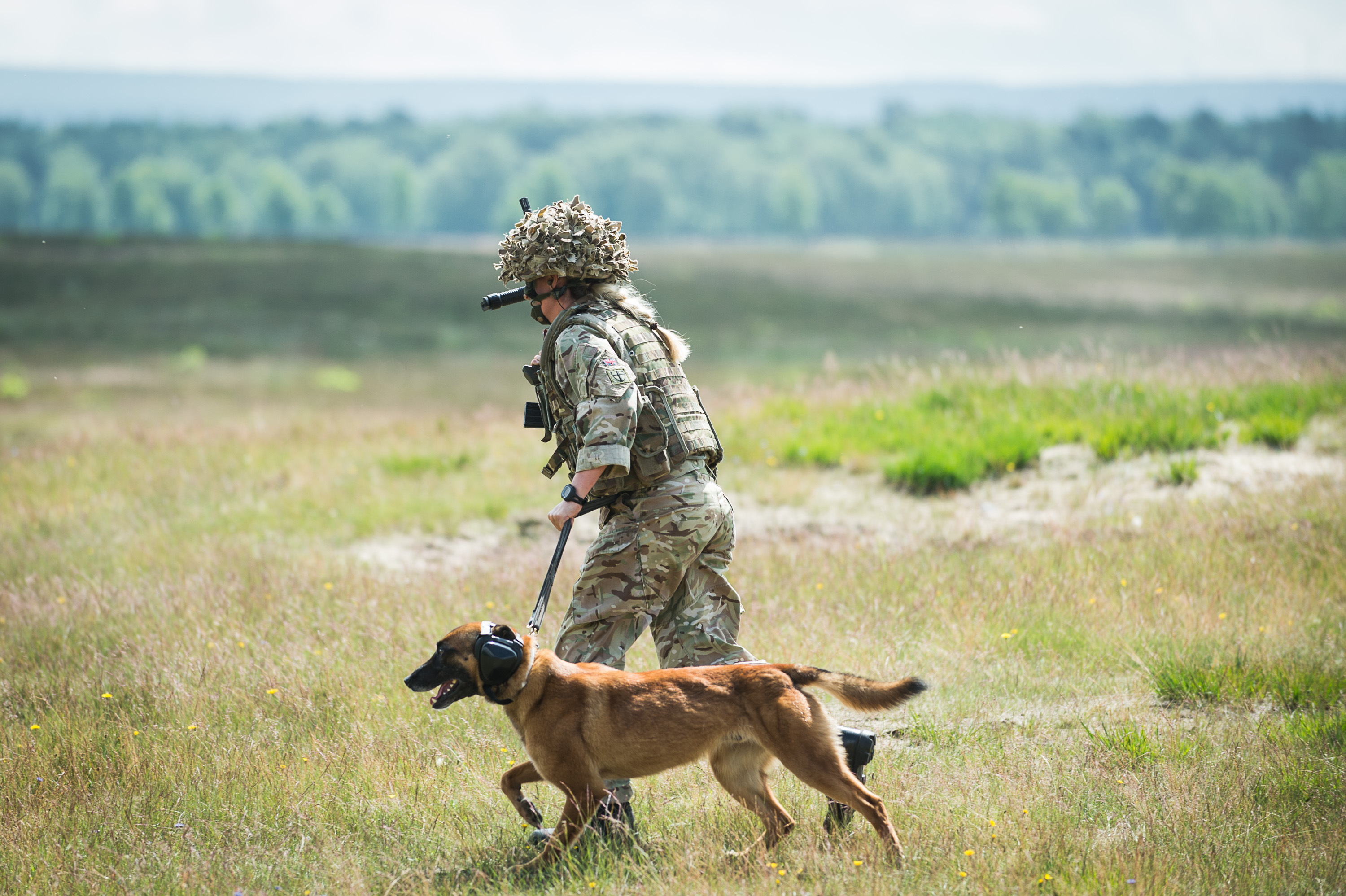 Military Working Dog - Anonymous - MWD Zafari and his handler on the Sennelager Ranges in Germany