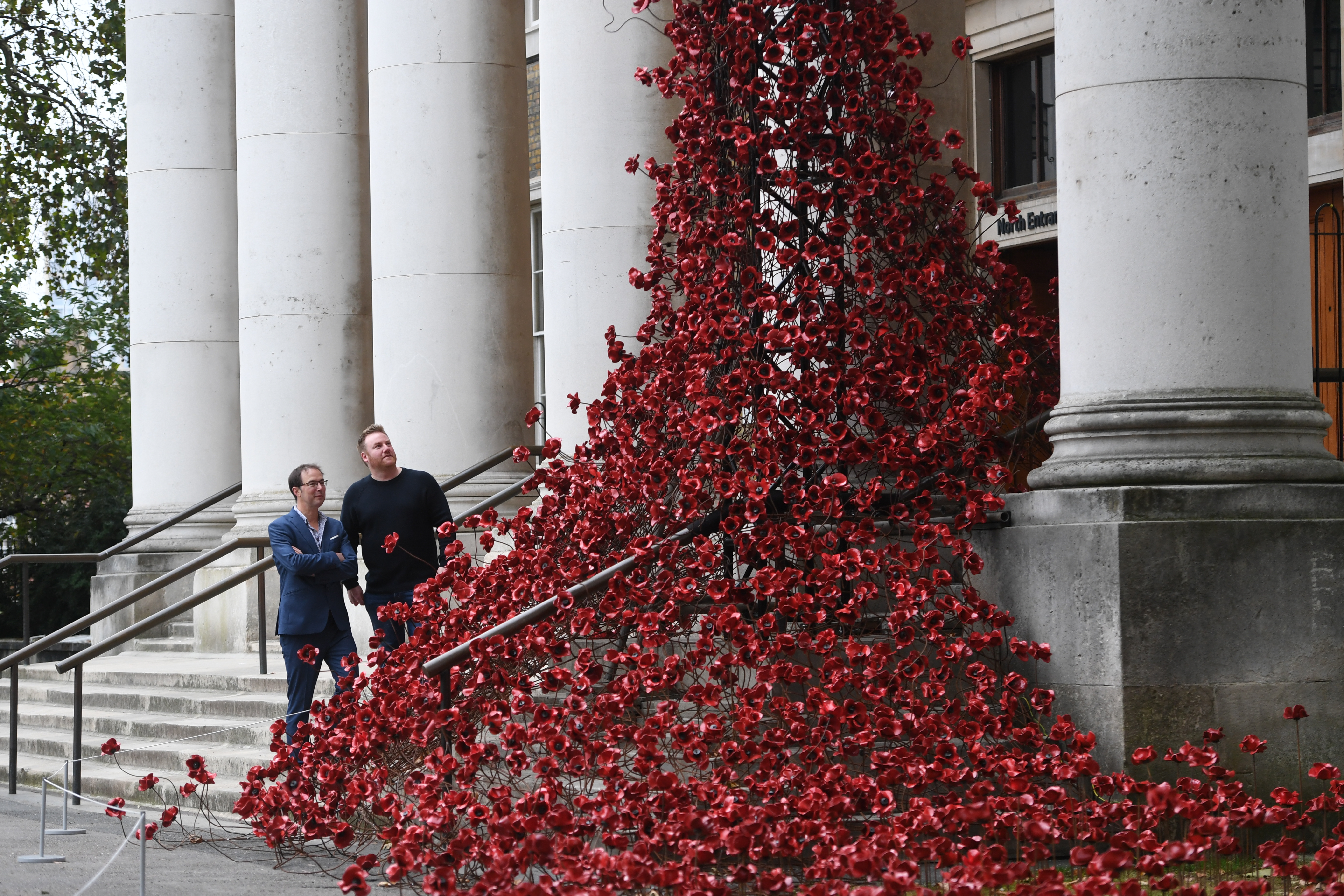 Weeping Window IWM