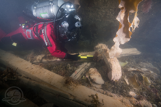 Erebus discovery 