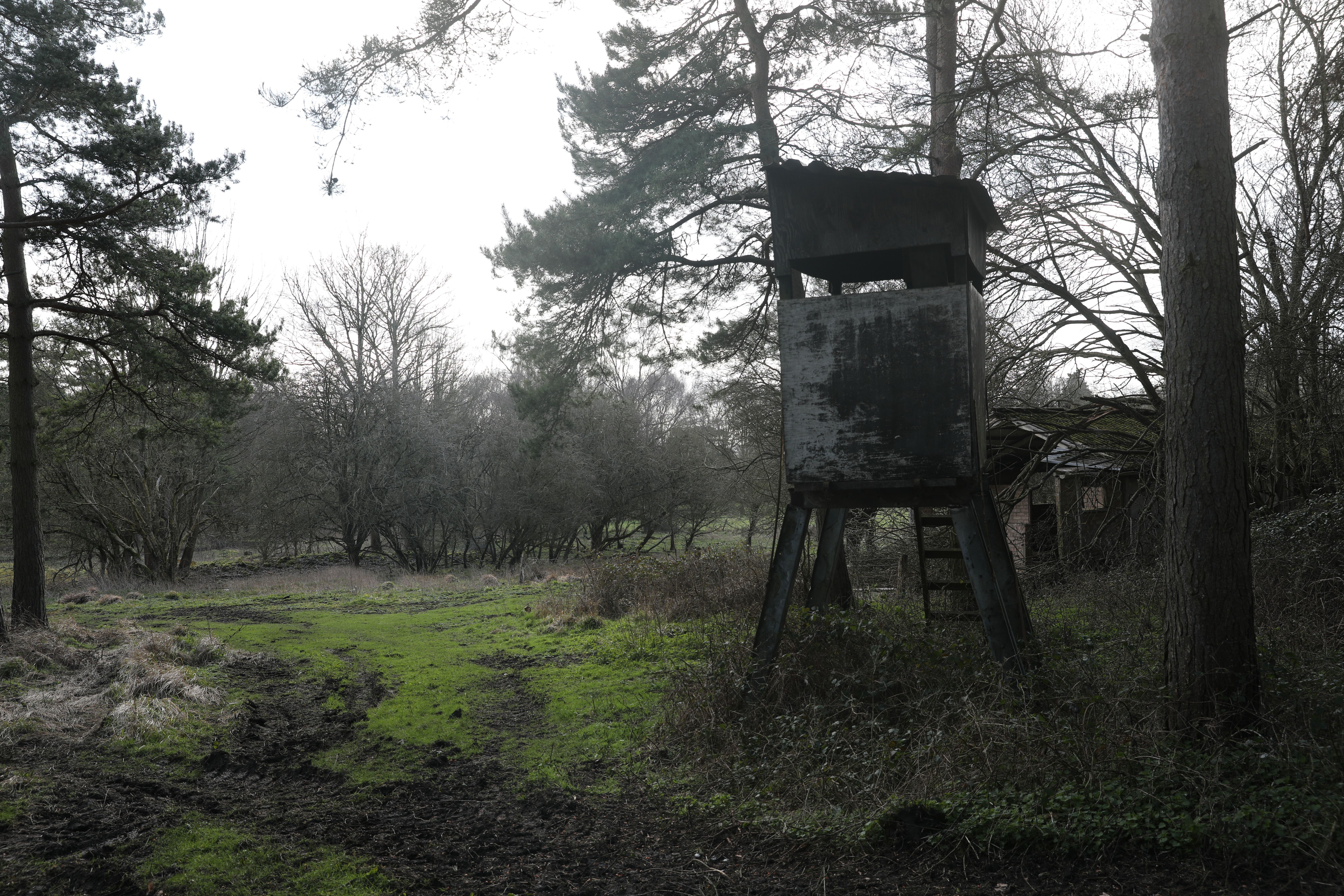 Deserted Prisoner of War Camp 31 at Ettington, near Stratford-upon-Avon. Credit: JW