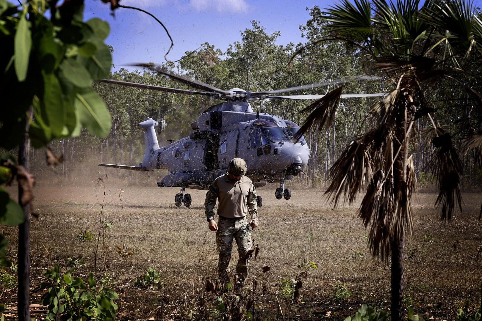 A Merlin Mk4 whips up the grass in a clearing 281024 CREDIT Royal Navy (1)