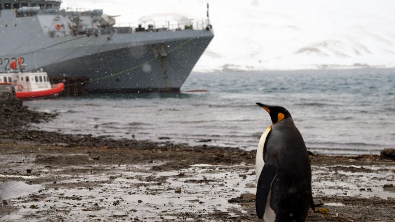 Cover image: HMS Forth passes a penguin in South Georgia (Picture: Royal Navy).