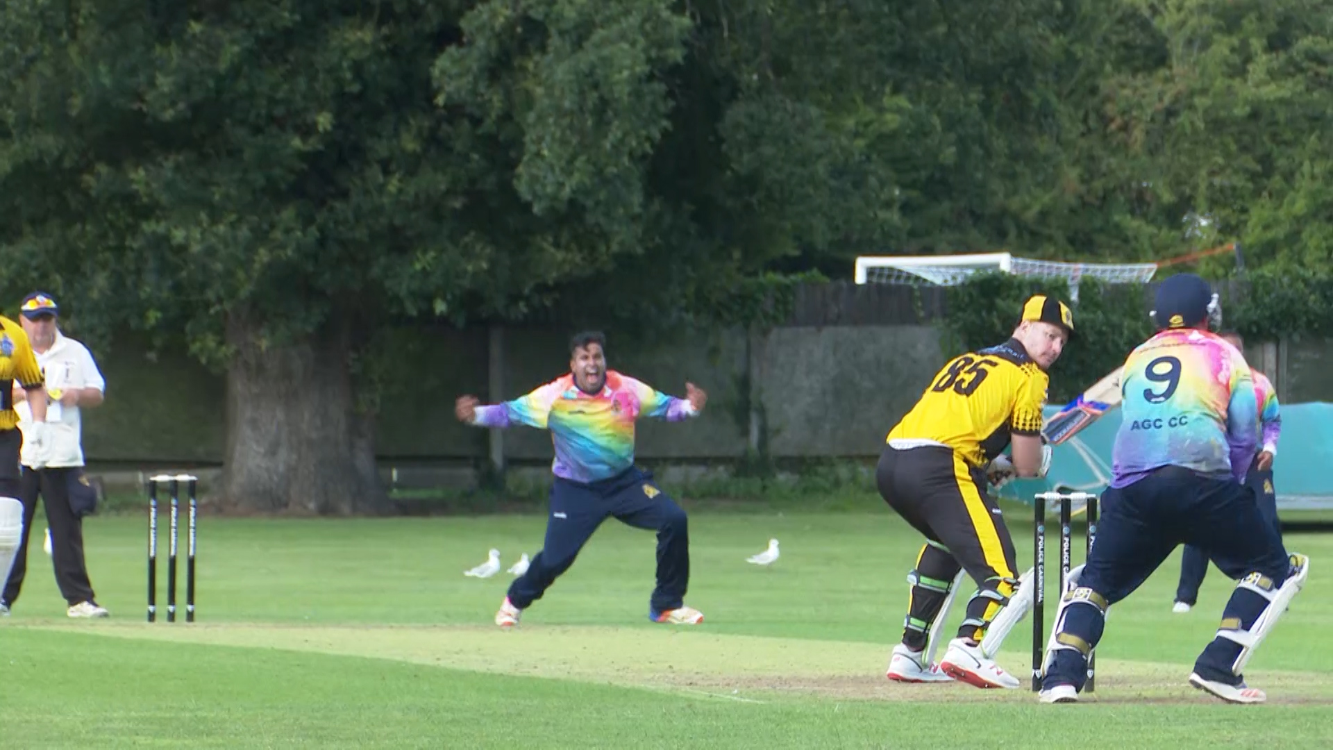 	AGC CRICKET APPEAL CREDIT BFBS.jpg