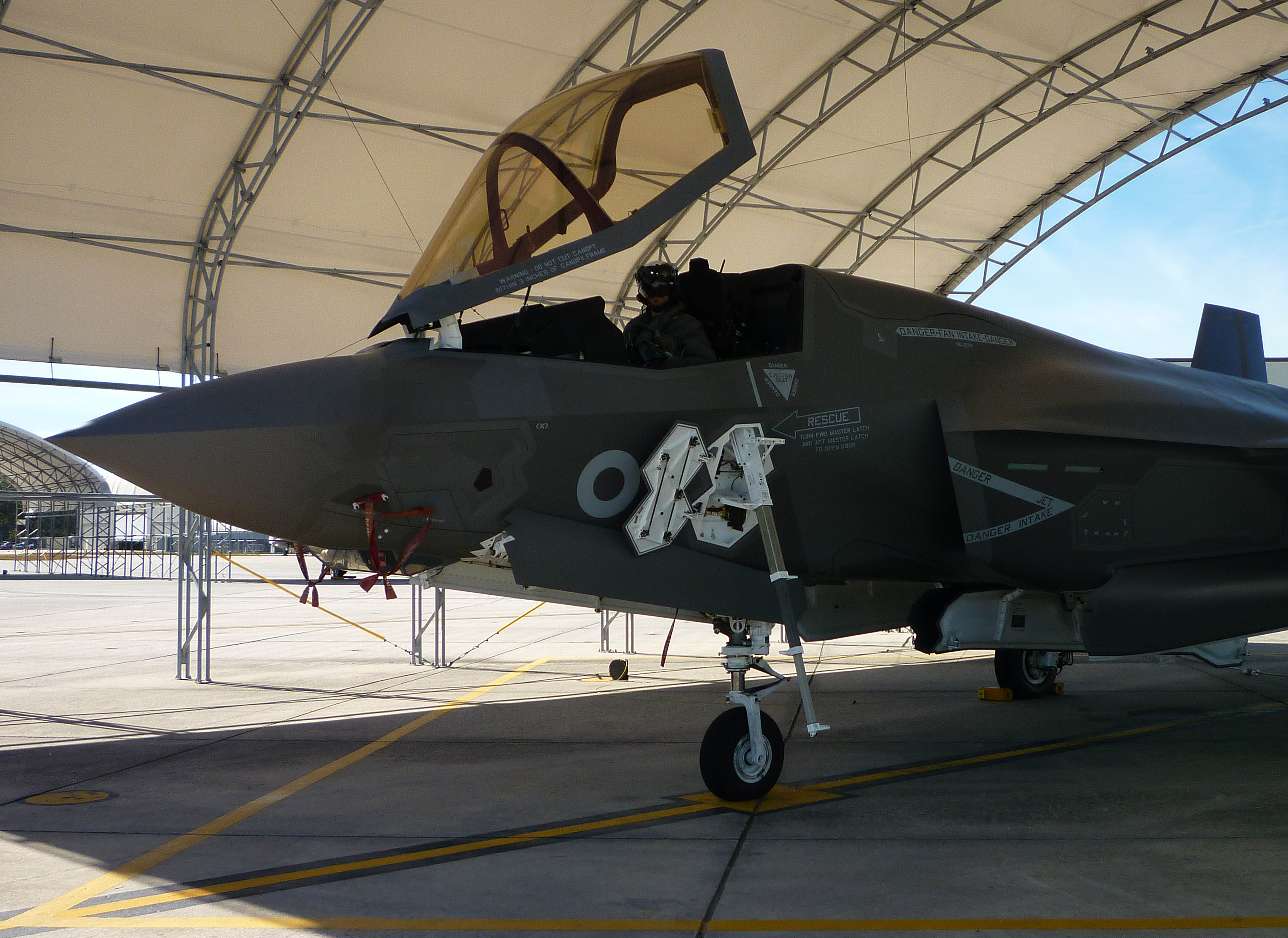 F-35 fighter jet pilot
