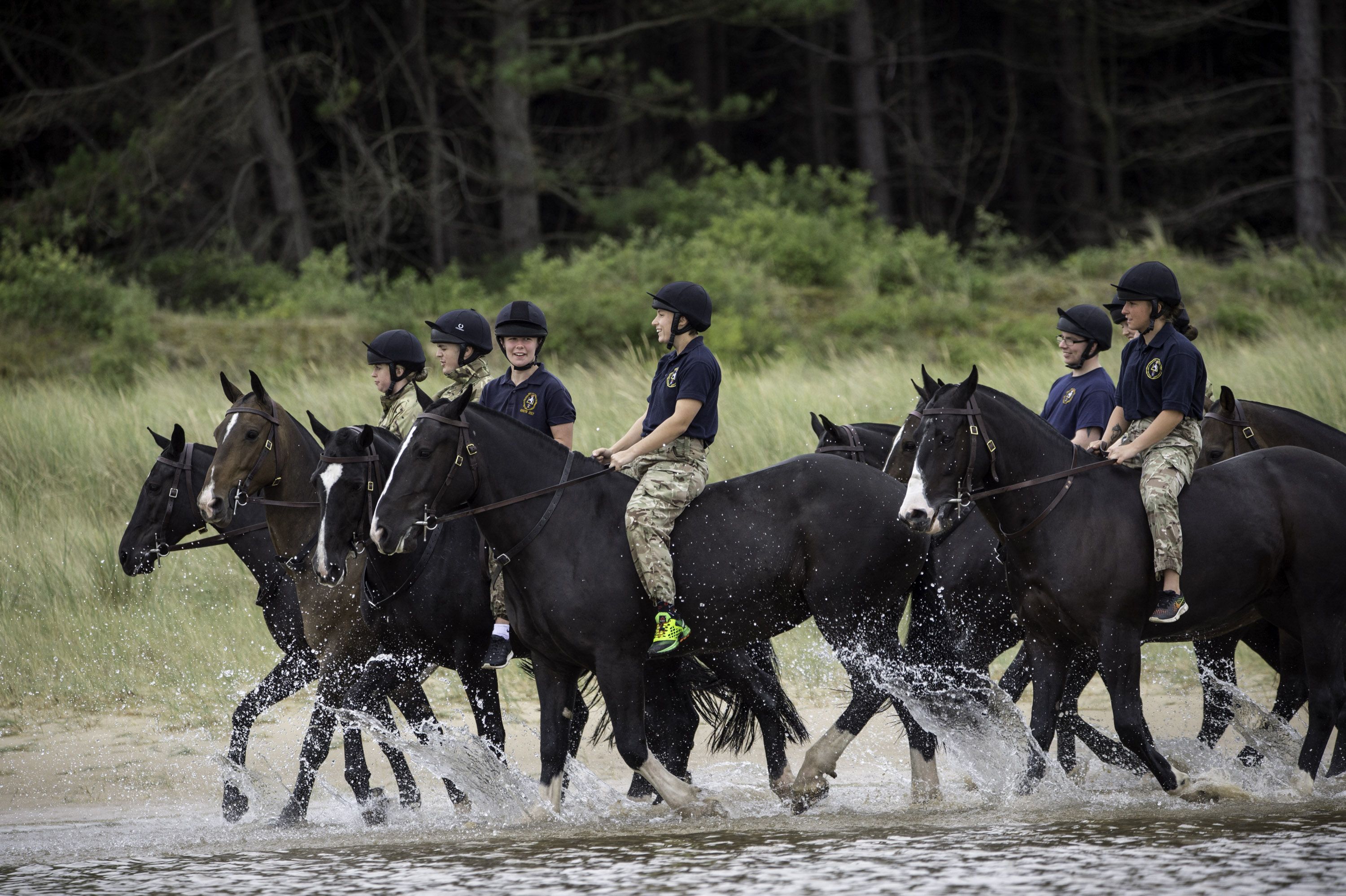 Today, beach goers in Norfolk were in for a surprise as the Army’s horses arrived.  Almost 100 horses and their riders from The King's Troop Royal Horse Artillery visited the North Norfolk Coast for equestrian and military training.   On Holkham sands, 19 horses were treated to the adventure of learning to swim in the sea to test the agility and courage that curiously makes them better mounts on ceremonial duties whilst in London.