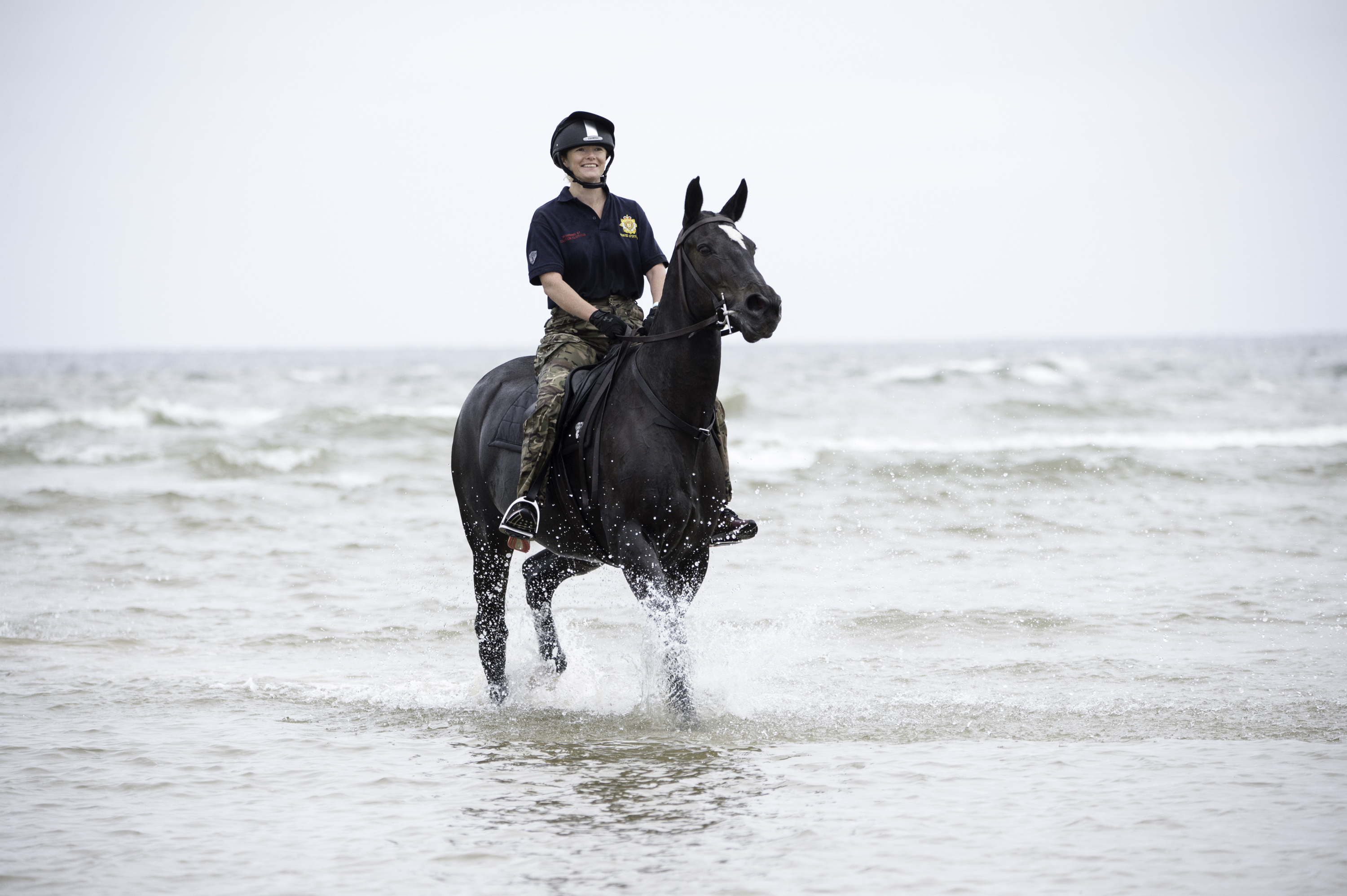 horse