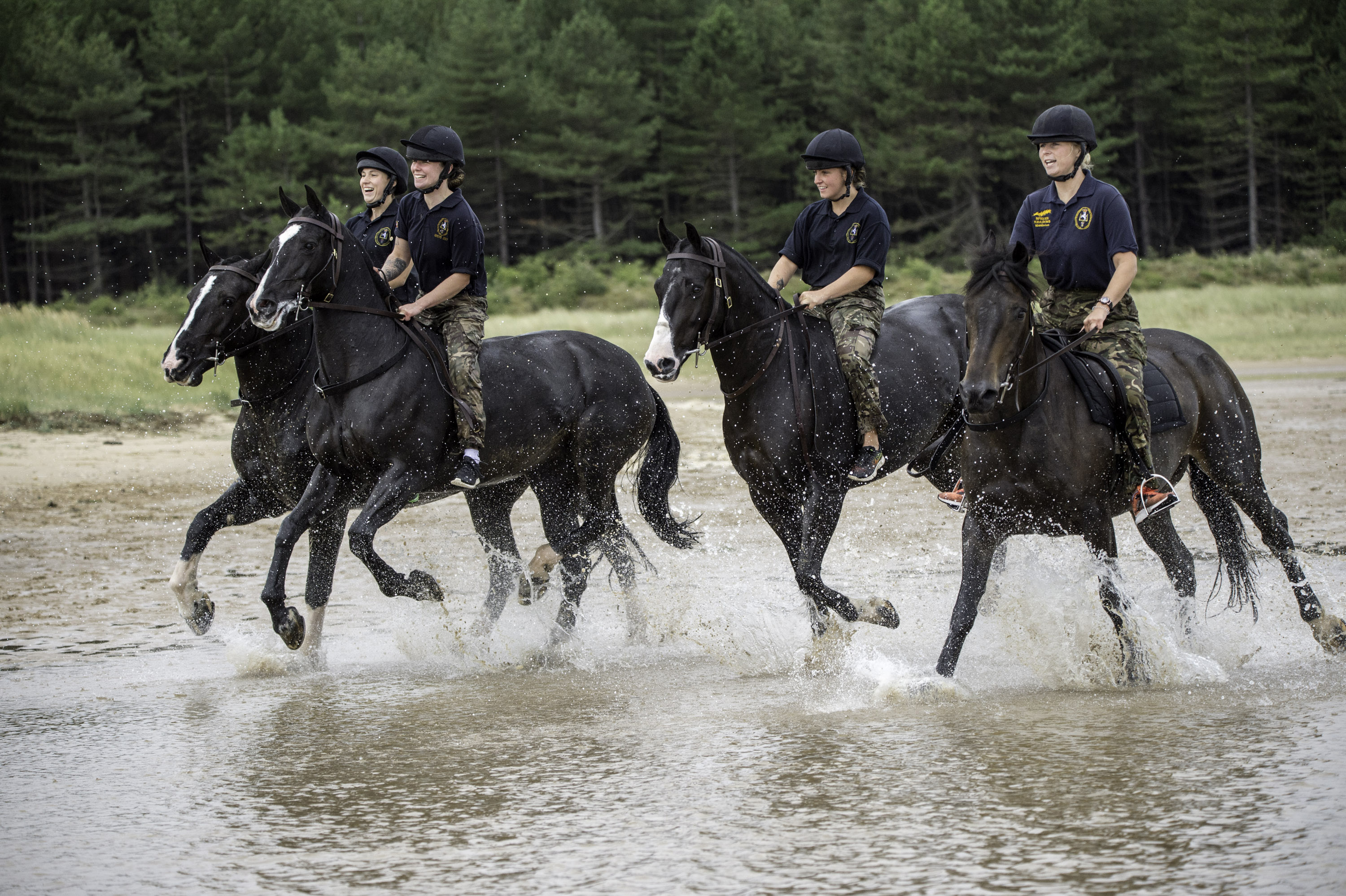 horse