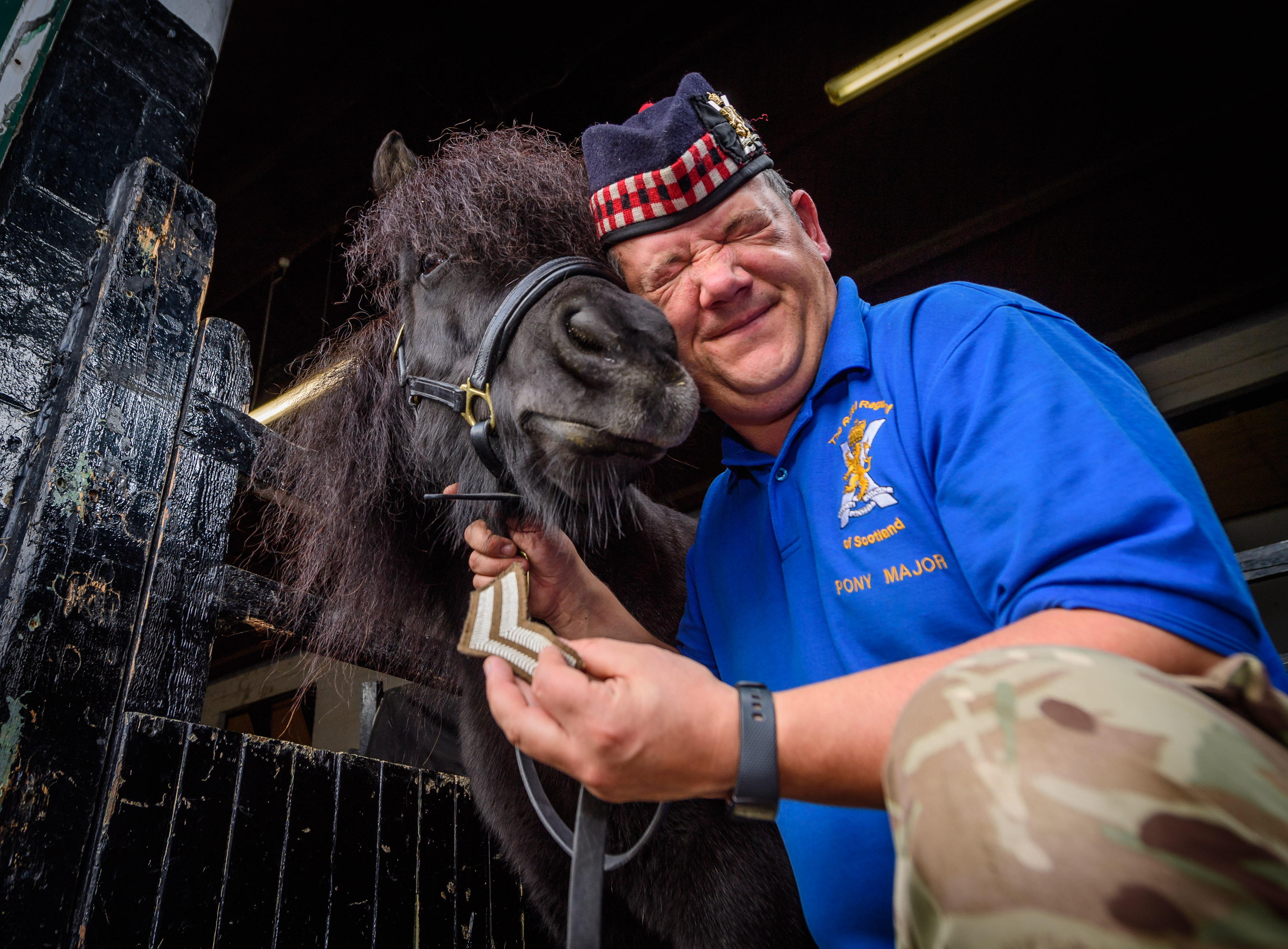 Regimental Pony Who Tried To Eat The Queen's Flowers Promoted